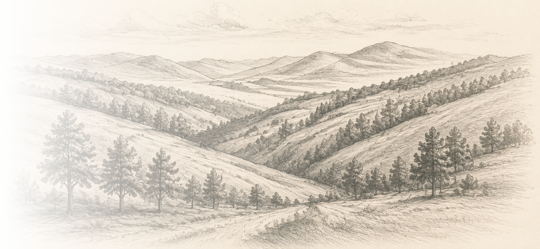 A detailed grayscale sketch of a mountain landscape with rolling hills, numerous trees, and distant mountains under a partly cloudy sky.
