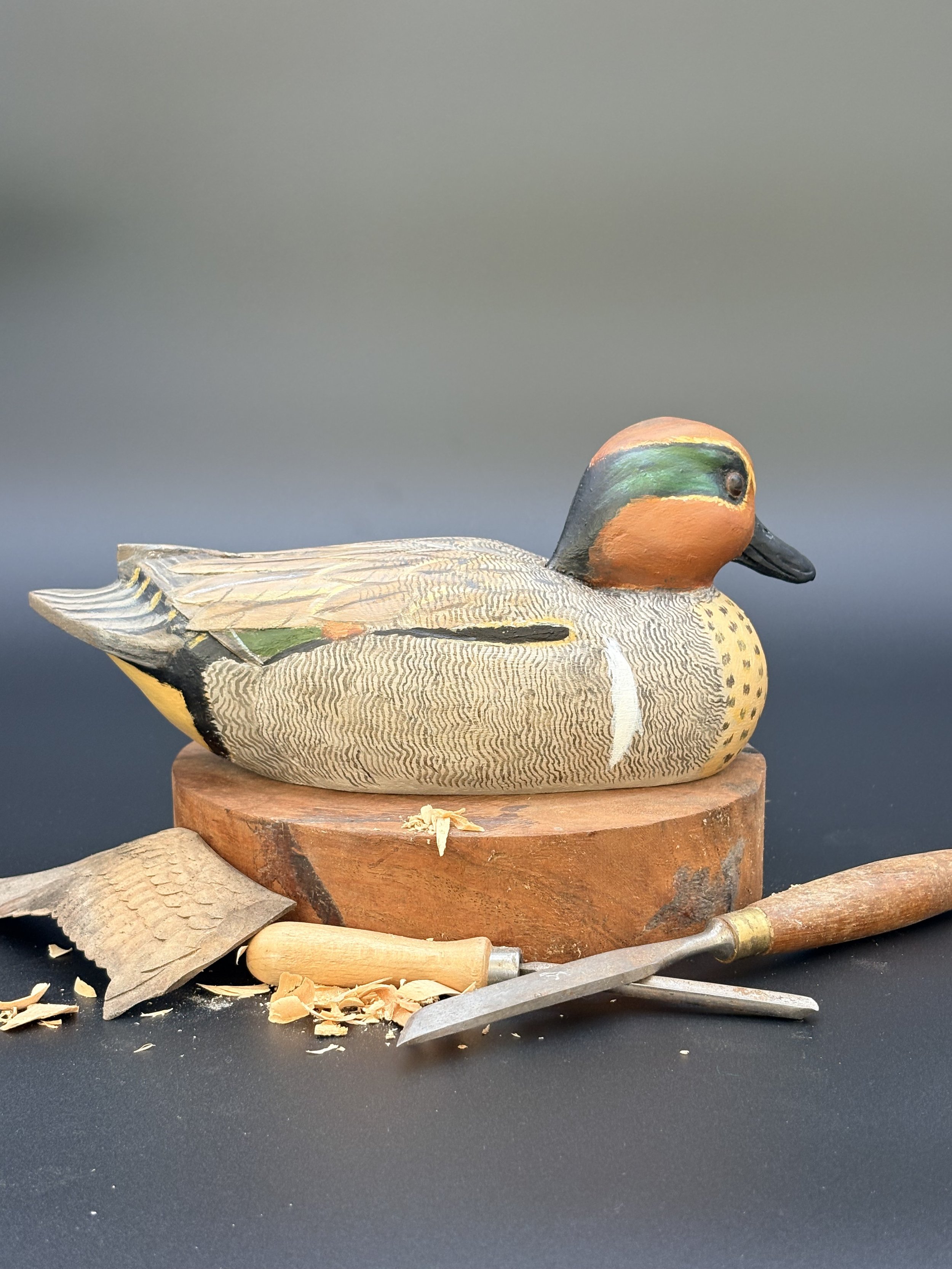 Don Hovie_GreenWingedTeal_0076.jpeg