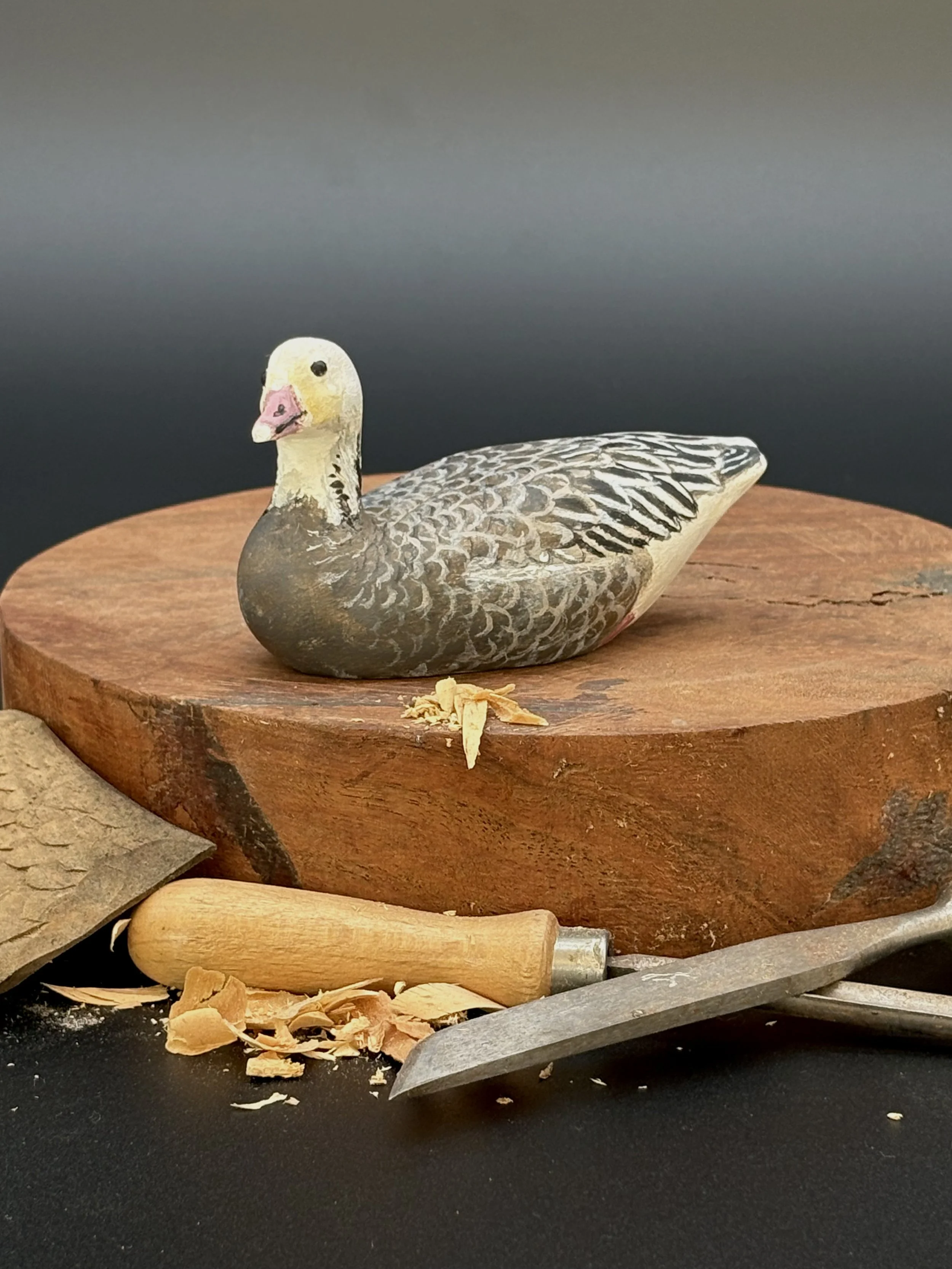 Don Hovie_BlueGoose_009_1.jpeg