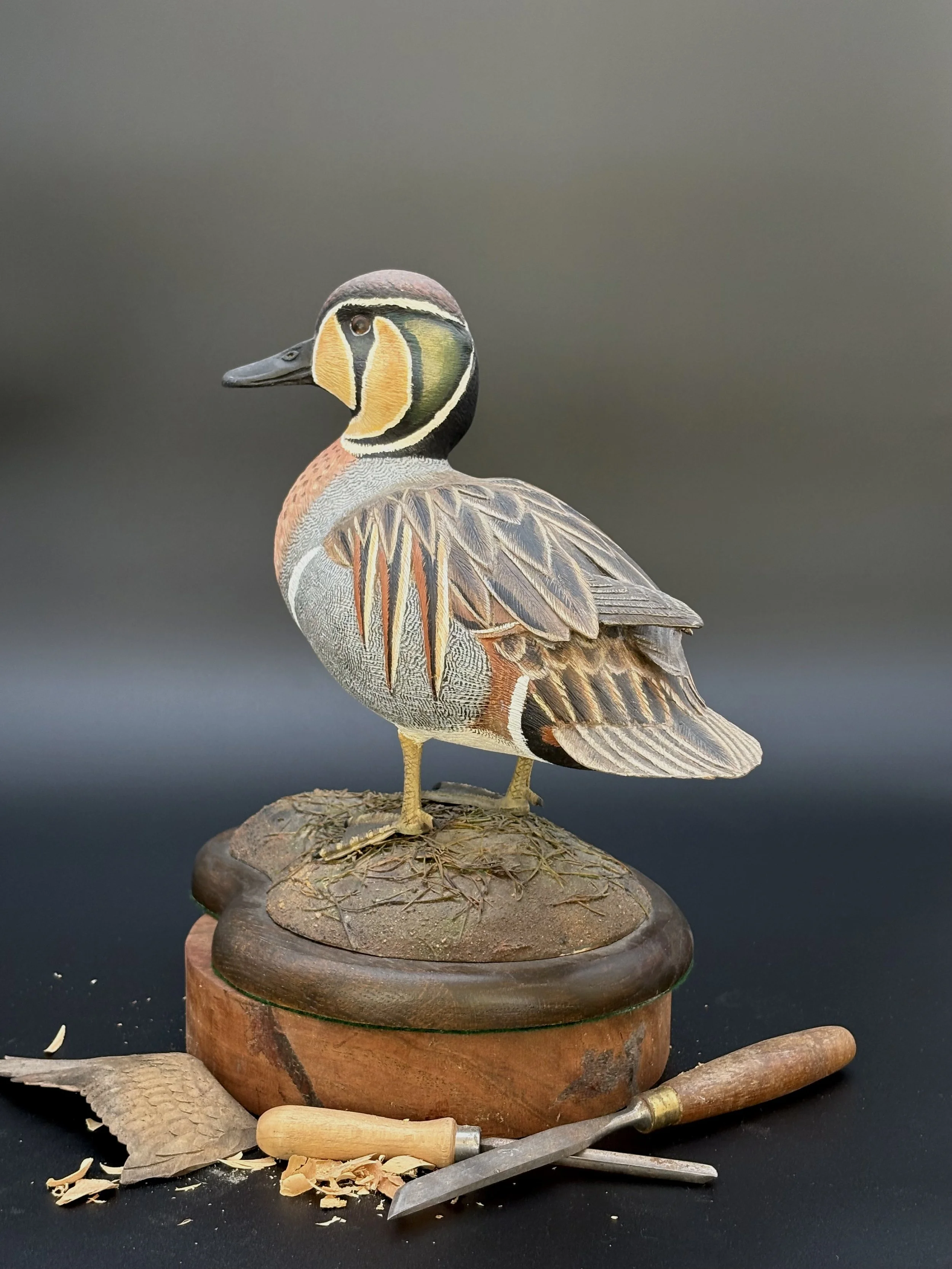 Don Hovie_Baikal Teal_019_3.jpeg