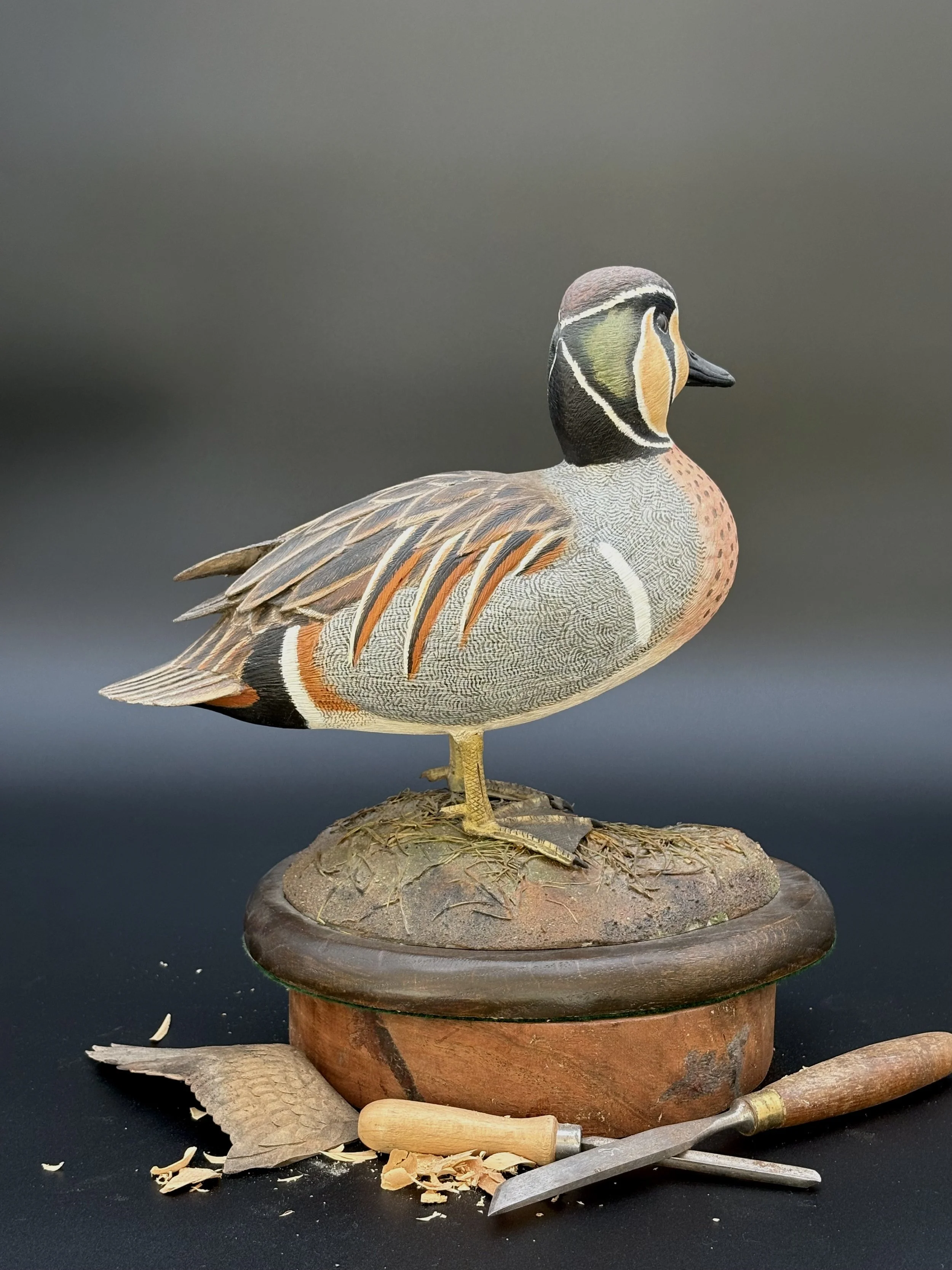Don Hovie_Baikal Teal_019_5.jpeg