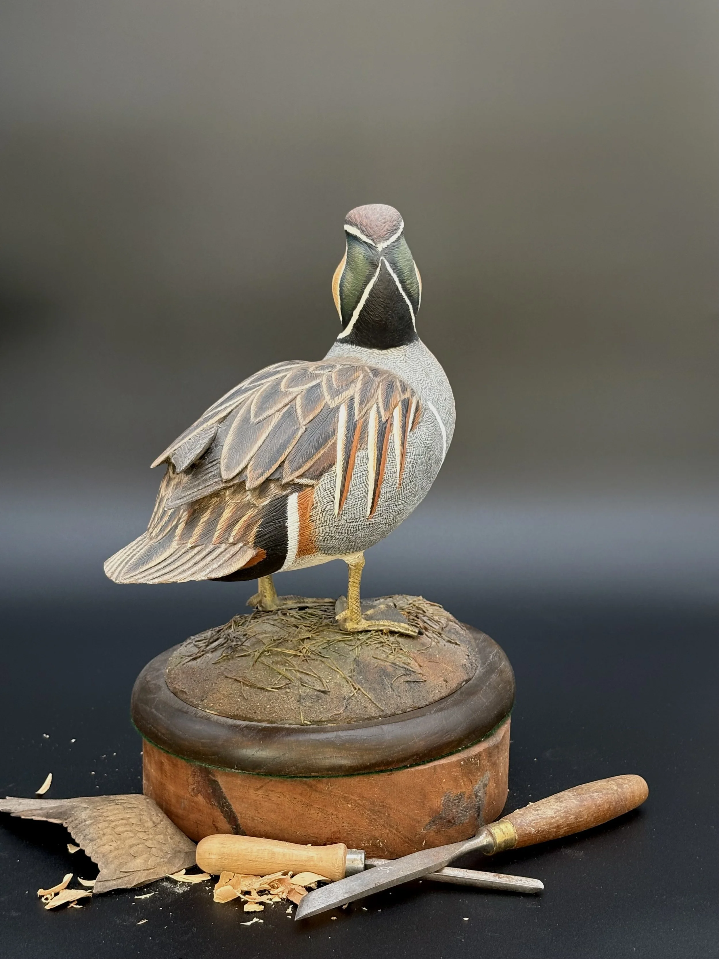 Don Hovie_Baikal Teal_019_4.jpeg