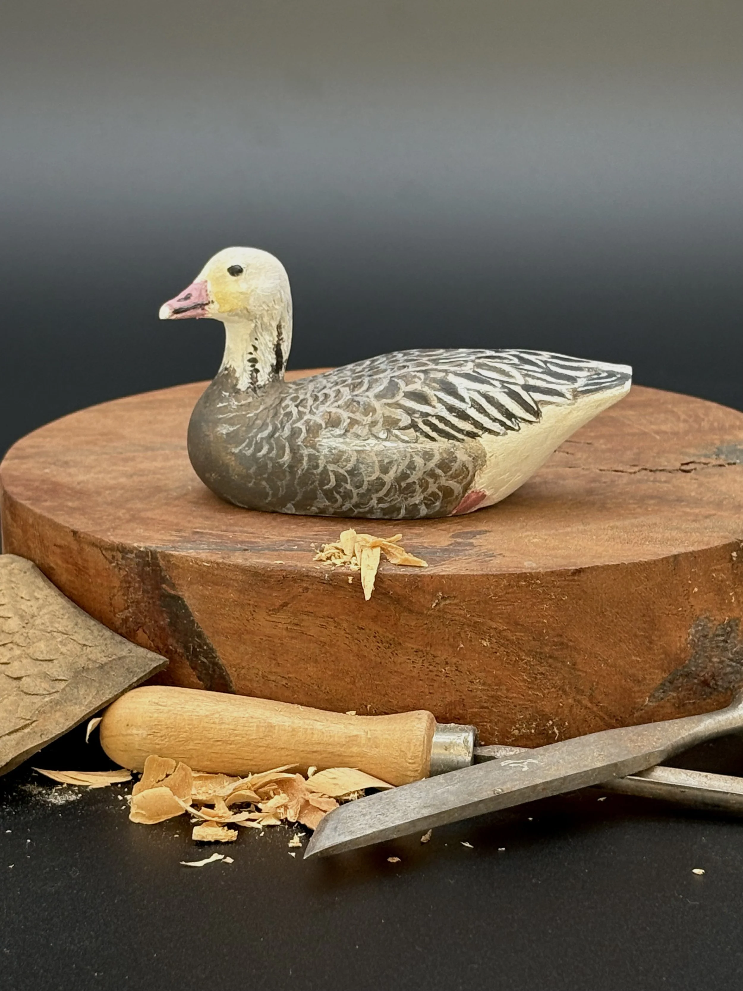 Don Hovie_BlueGoose_009_2.jpeg