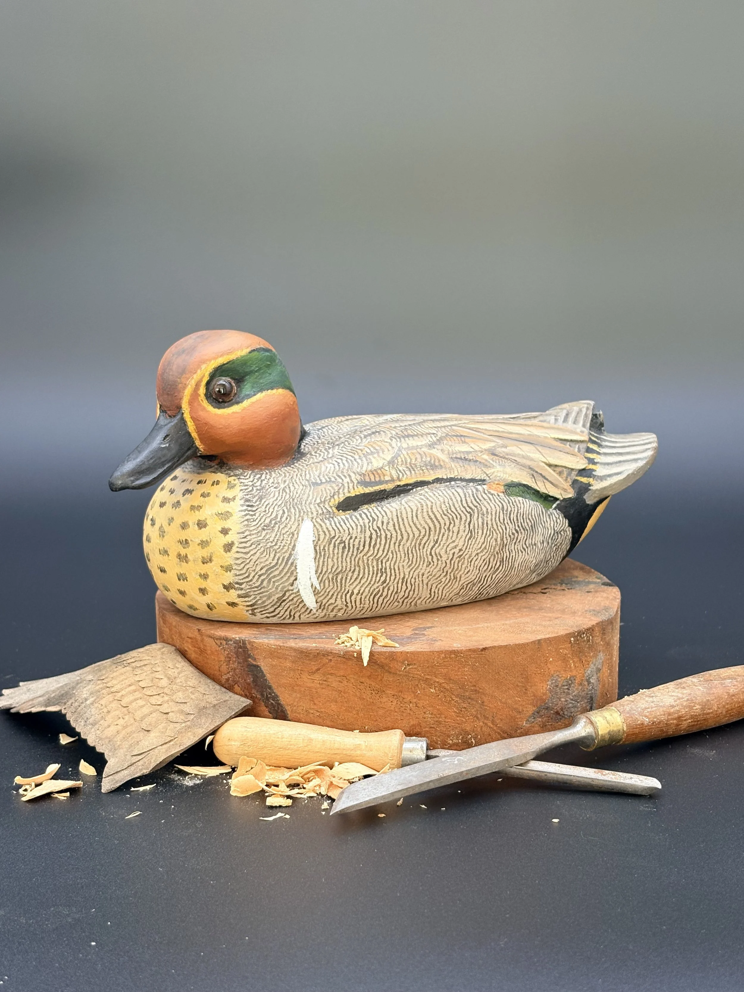 Green-Winged Teal