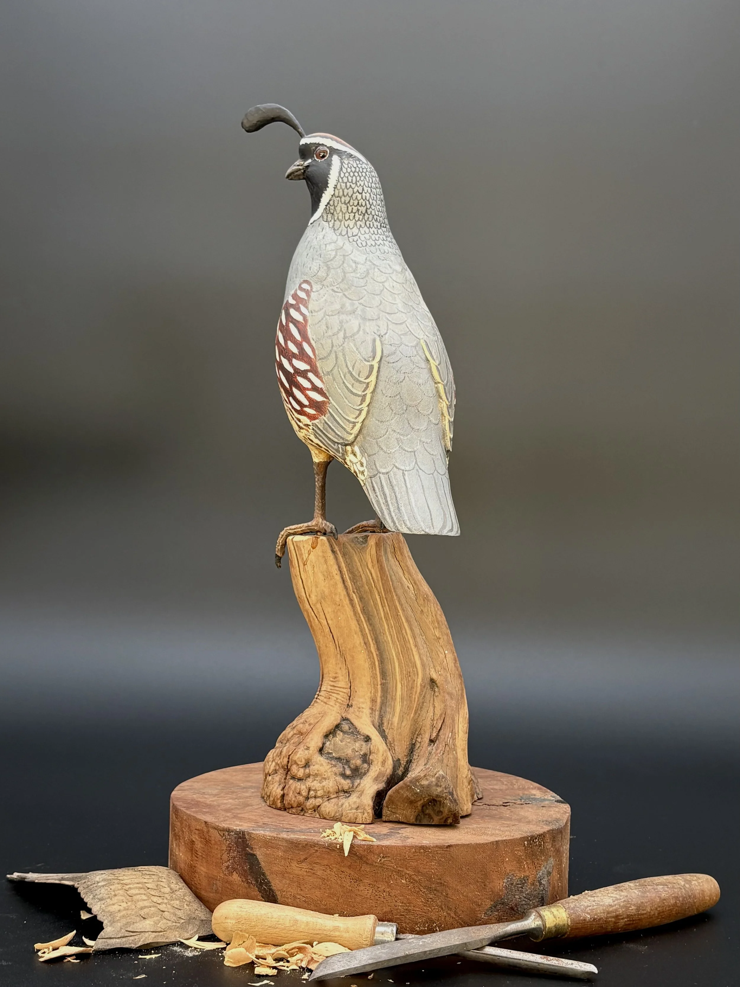Don Hovie_GambleQuail_014_4.jpeg