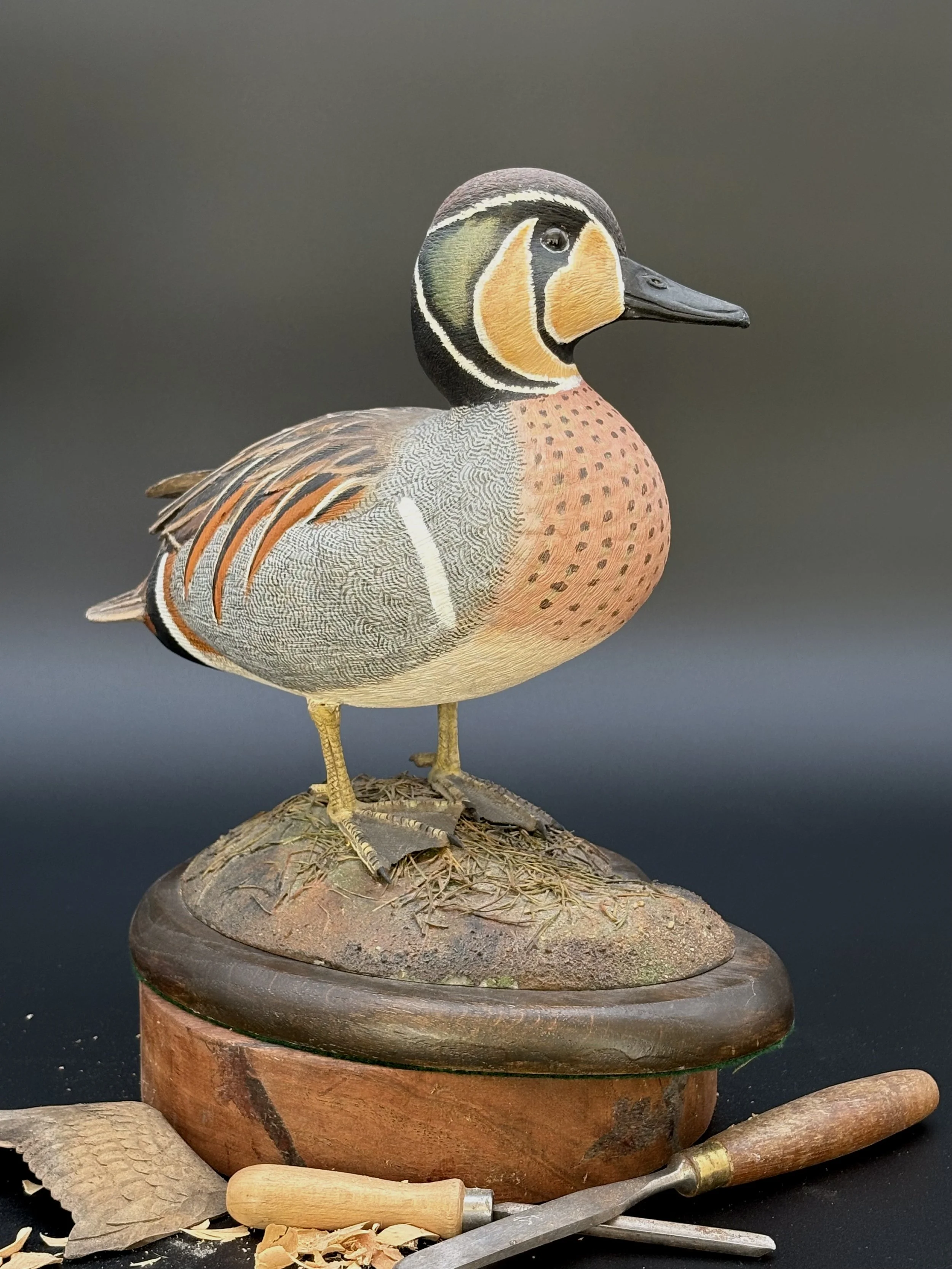 Don Hovie_Baikal Teal_019_6.jpeg