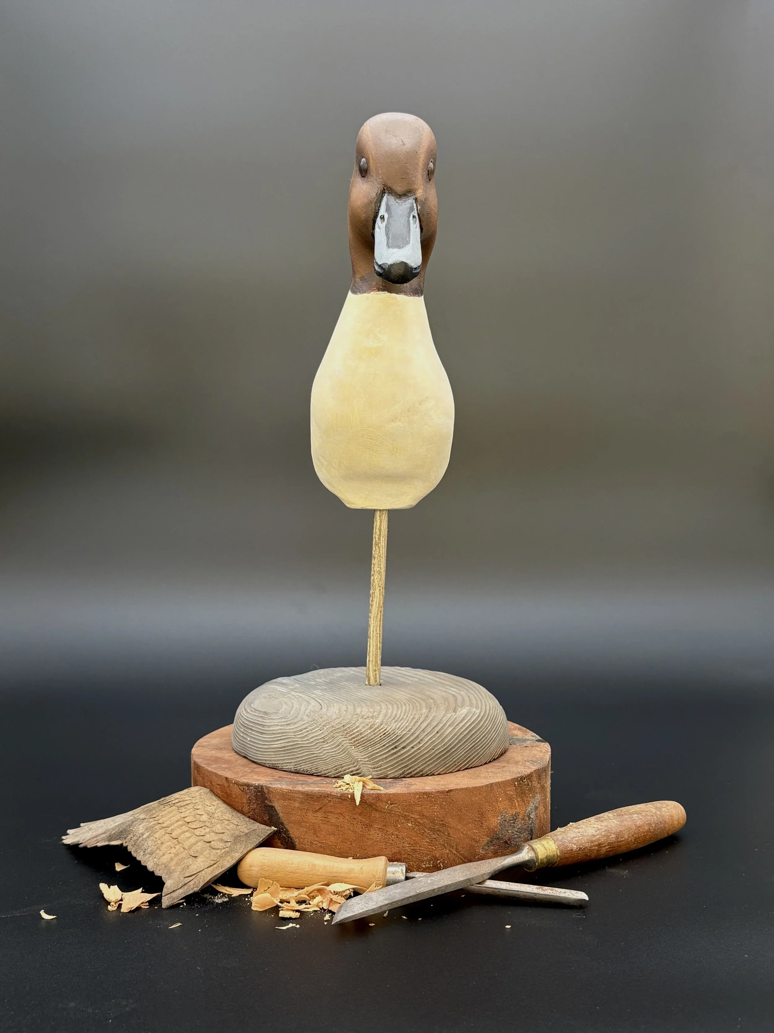 Pintail Drake Stick-Up Decoy