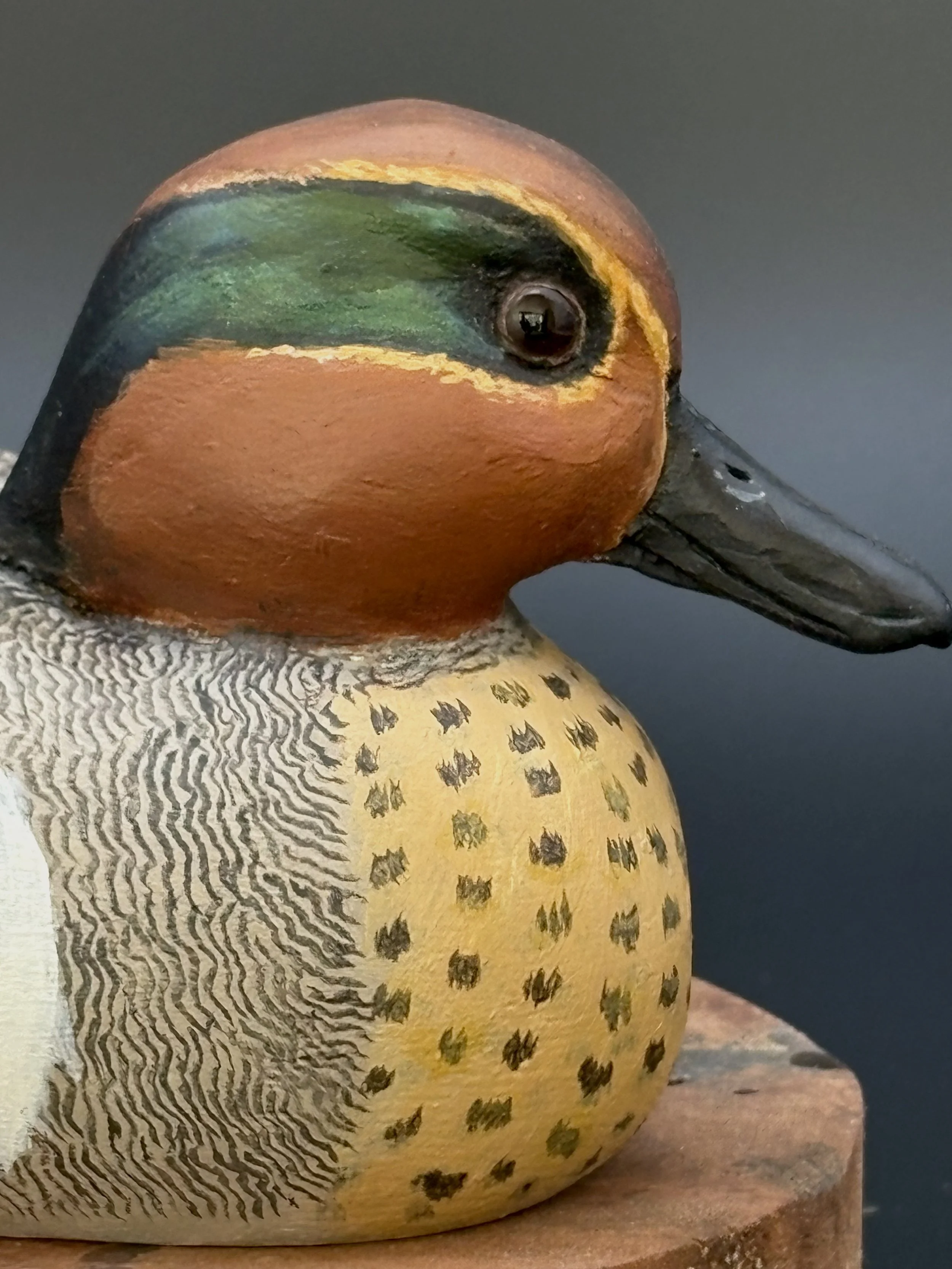 Don Hovie_GreenWingedTeal_007_6.jpeg