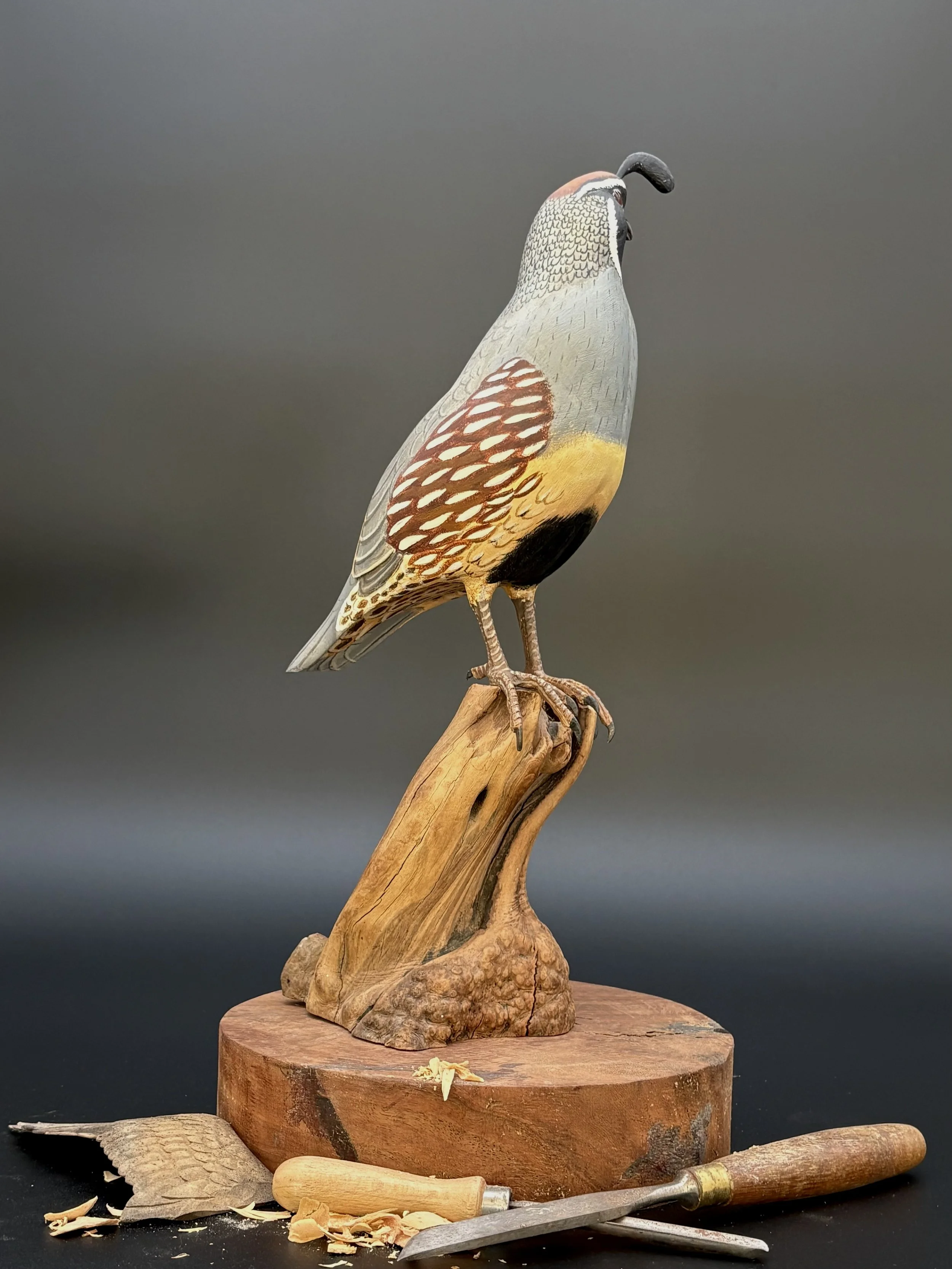 Don Hovie_GambleQuail_014_6.jpeg