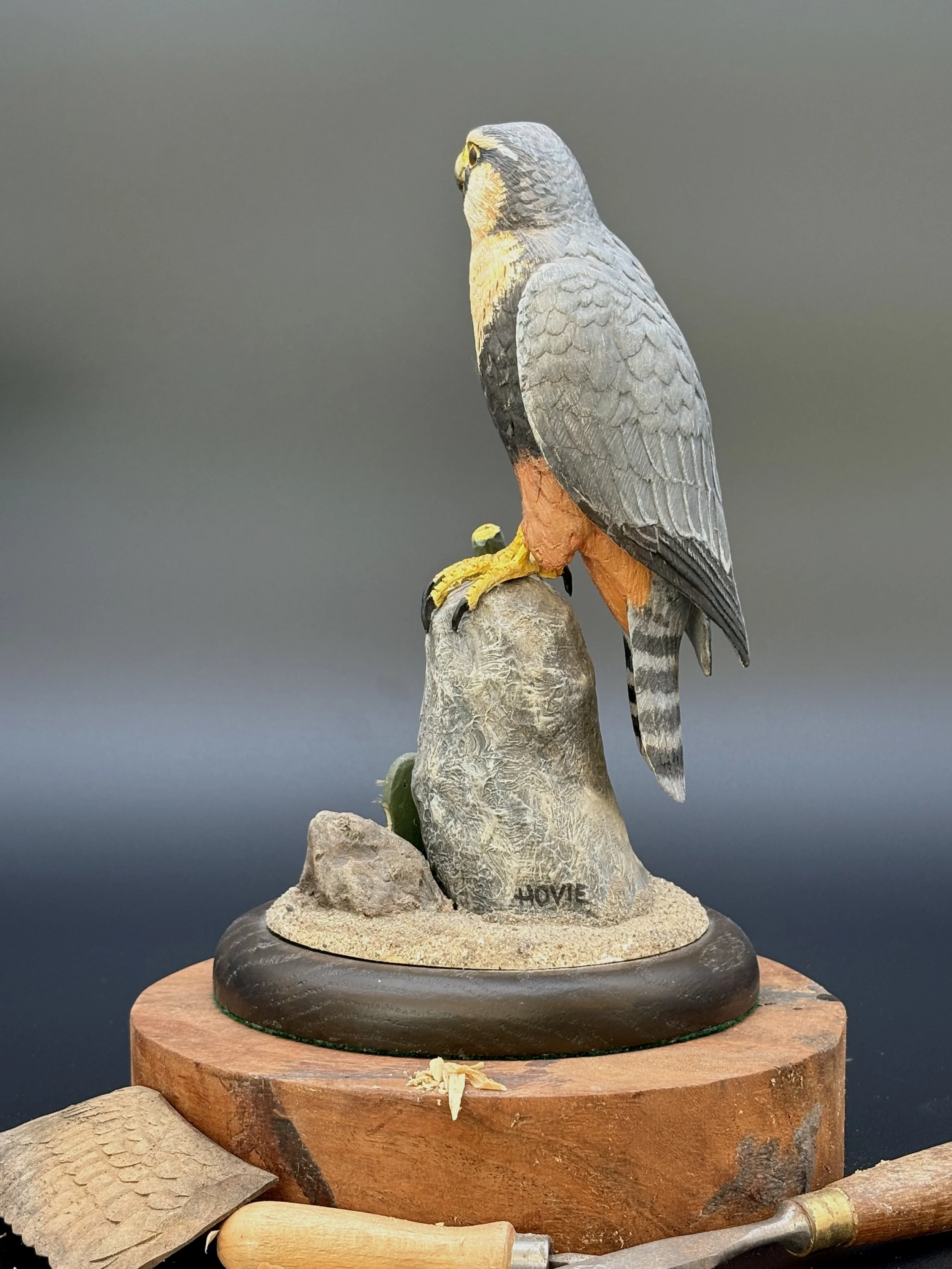 Aplomado Falcon wood carving by Don Hovie