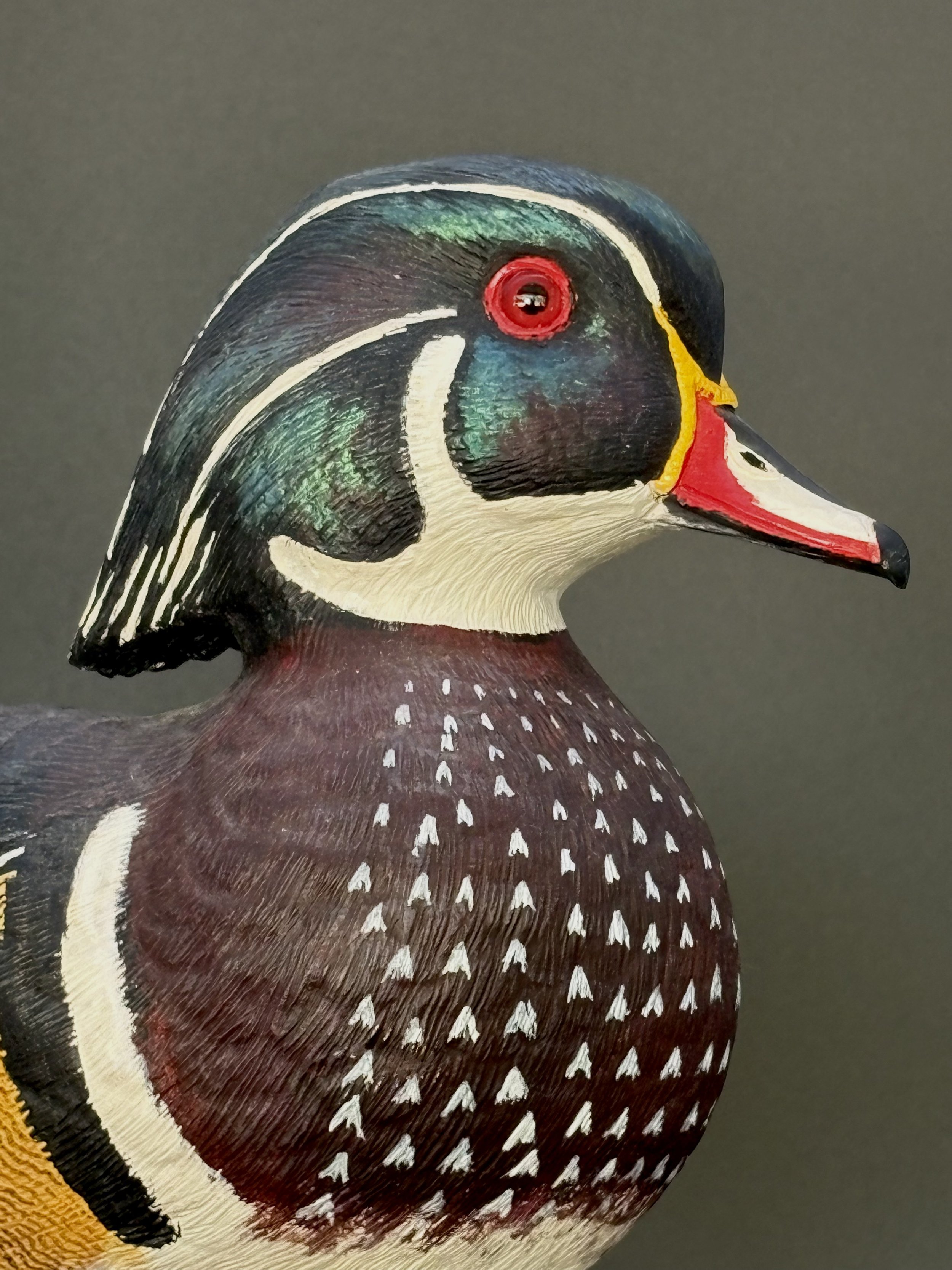 Don Hovie_Male Wood Duck on Log_022_7.jpeg