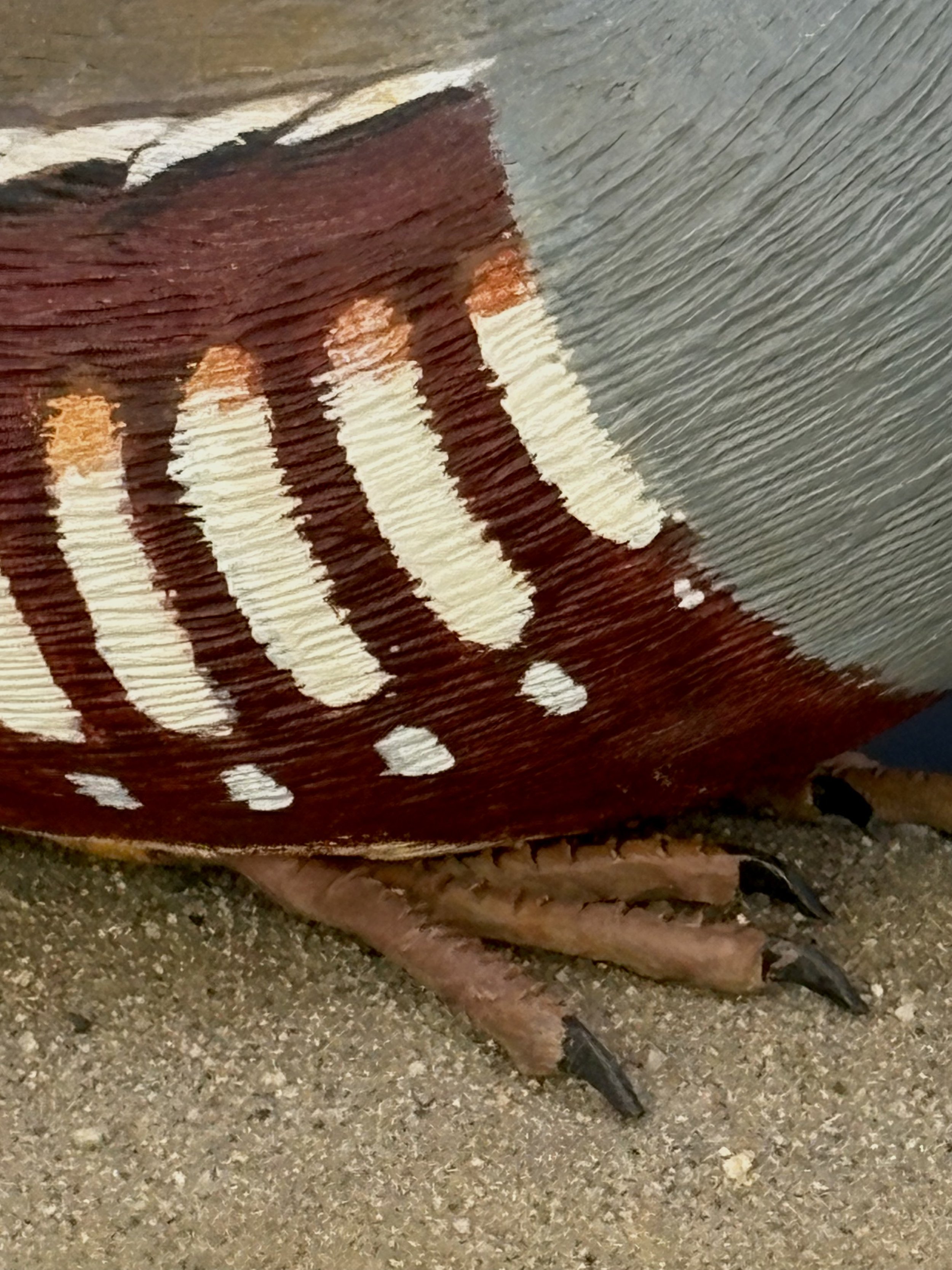 Don Hovie_MountainQuail_021_9.jpeg