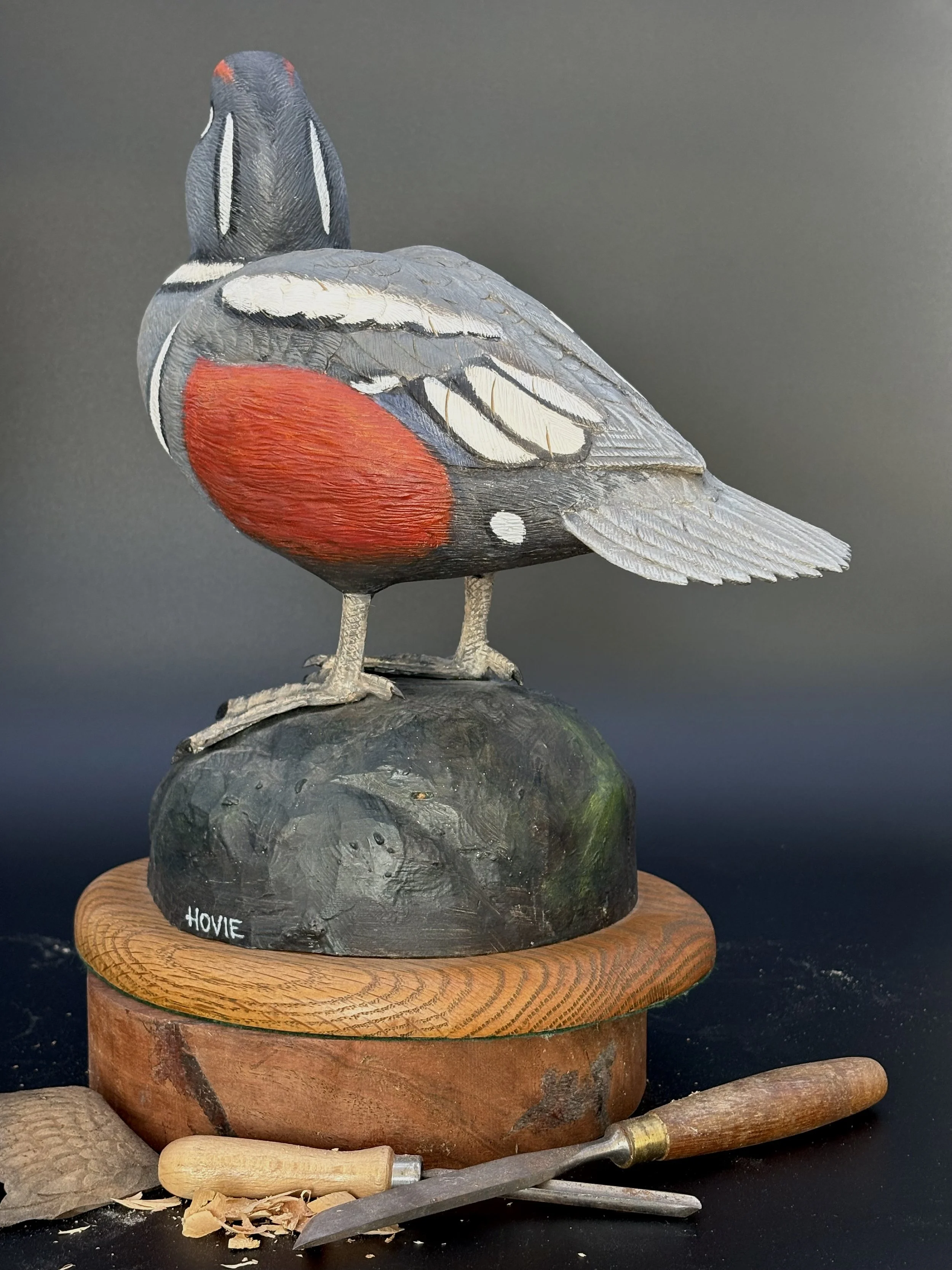 Don Hovie_Harlequin Duck_020_5.jpeg