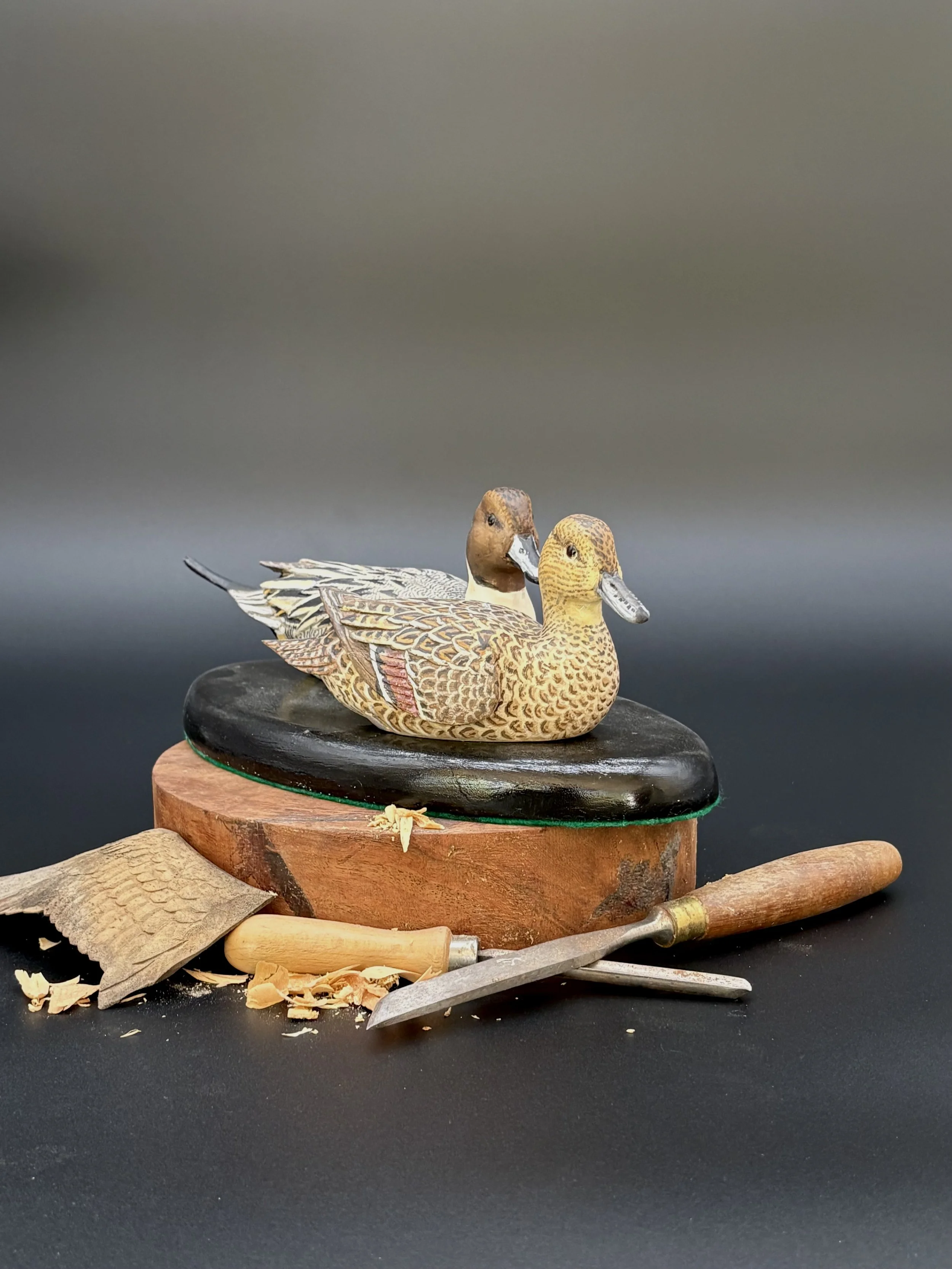 Northern Pintail Pair by Don Hovie