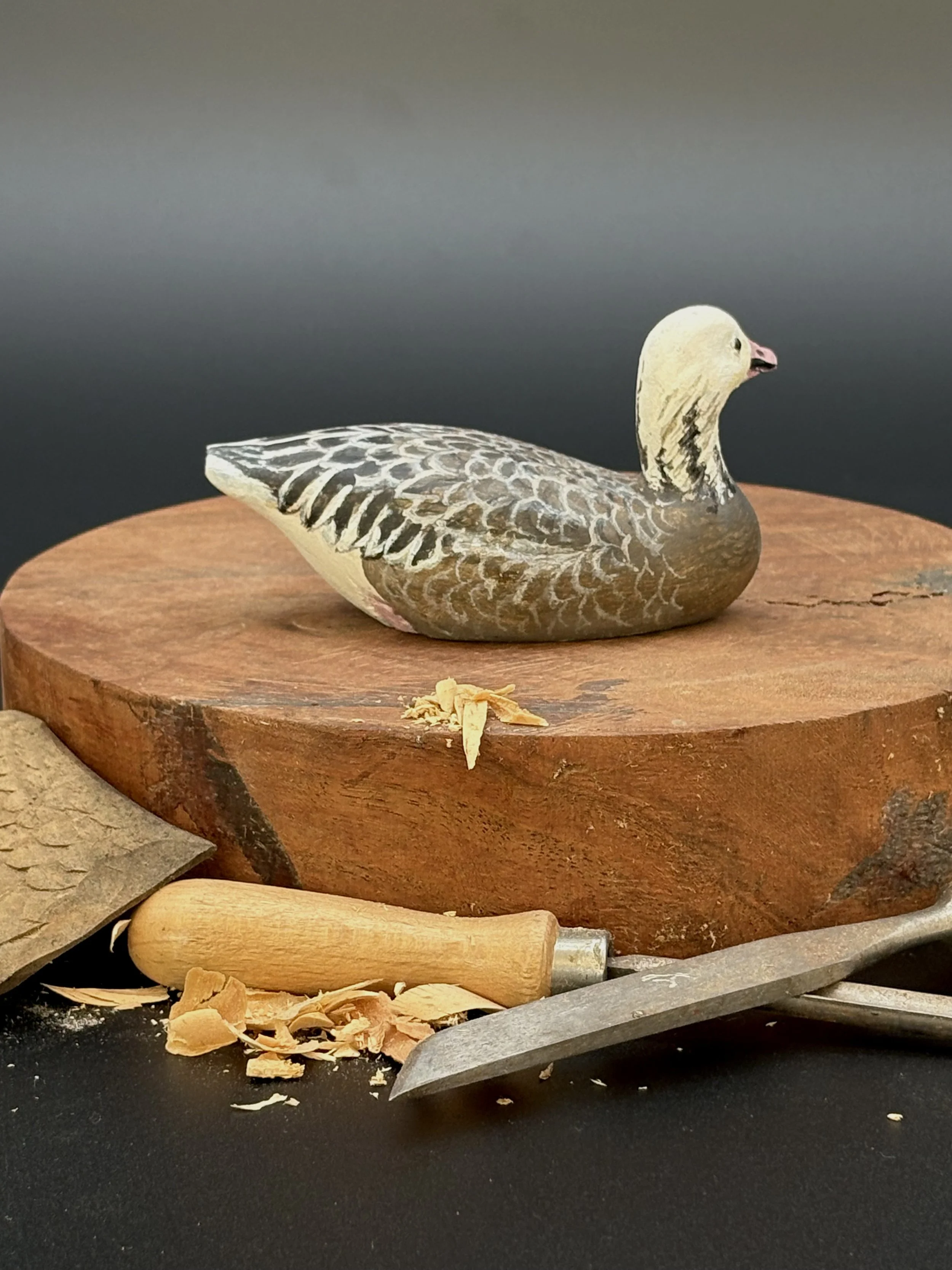 Don Hovie_BlueGoose_009_4.jpeg