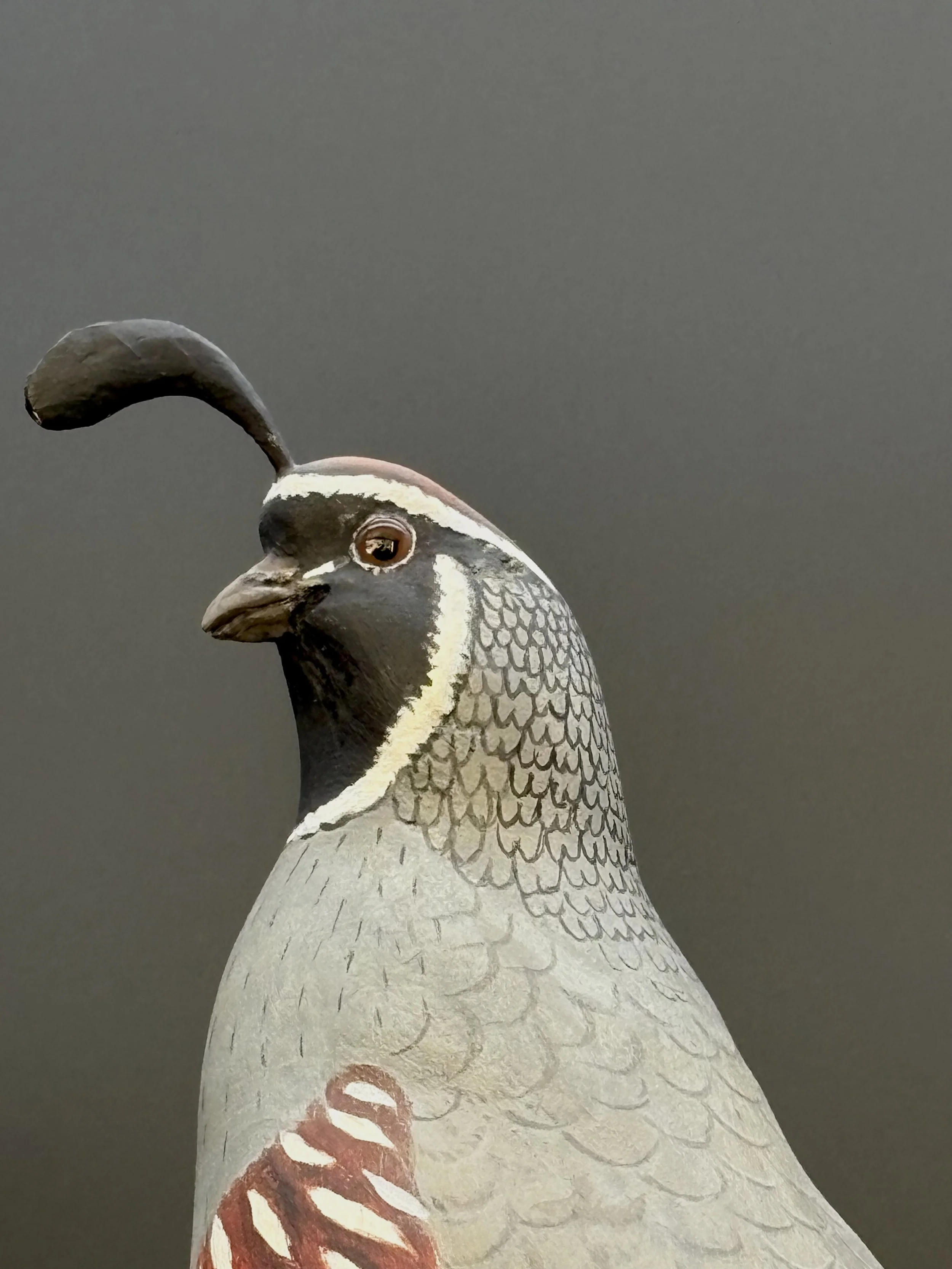 Don Hovie_GambleQuail_014_10.jpeg