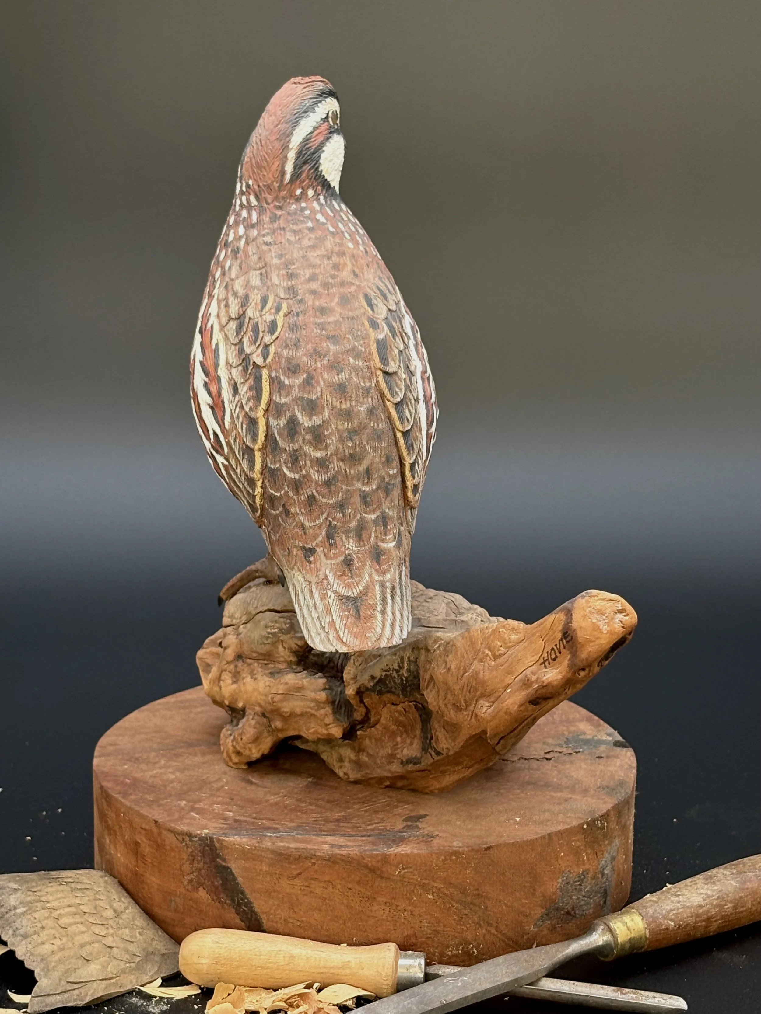 Don Hovie_Bobwhite Quail_017_4.jpeg