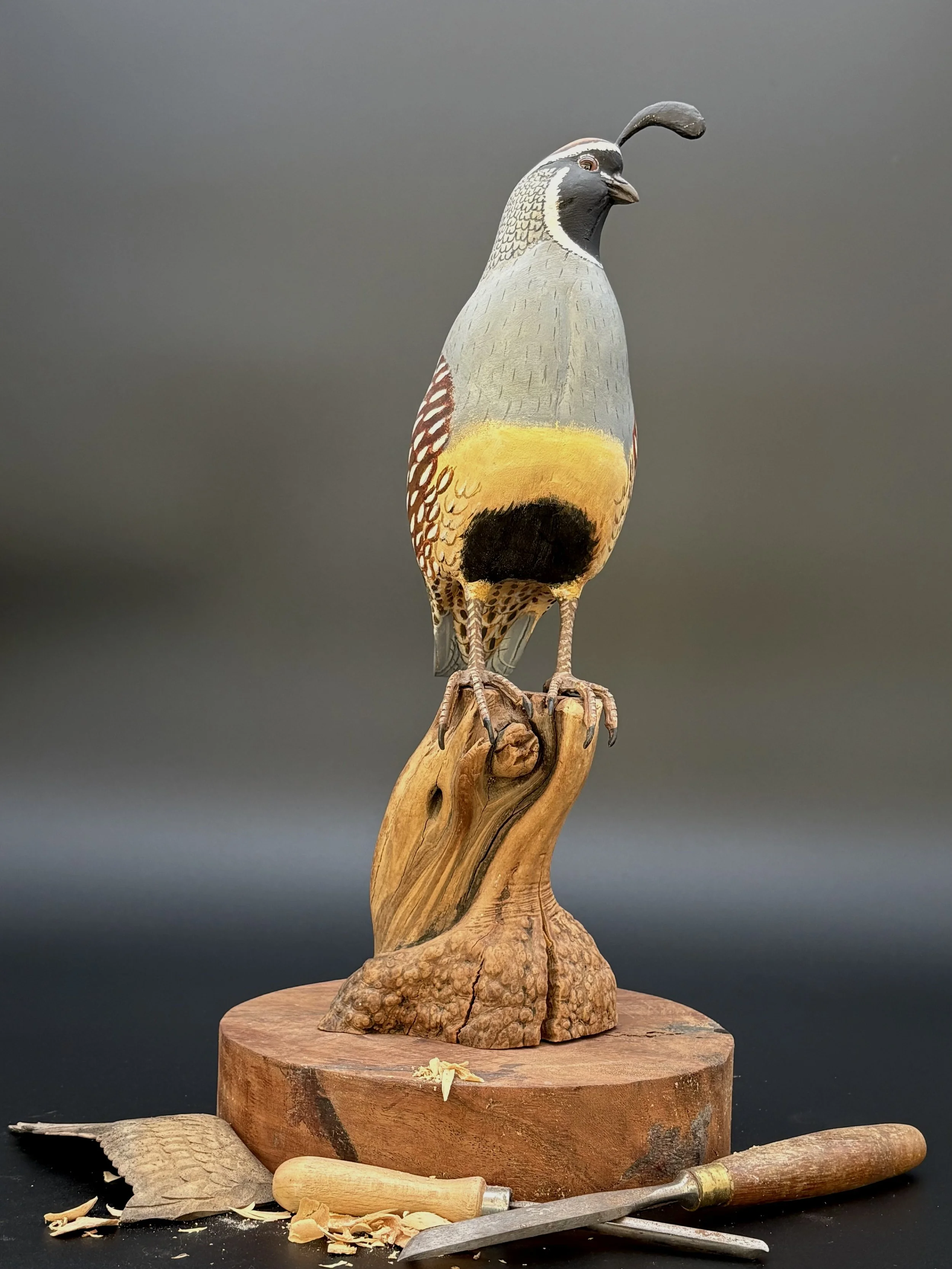 Don Hovie_GambleQuail_014_7.jpeg