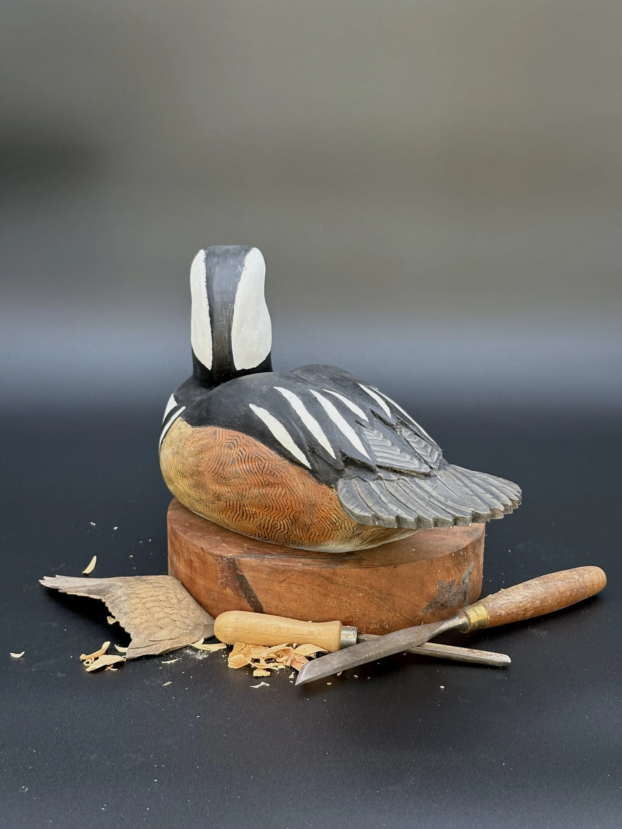 Don Hovie_Hooded Merganser_017_5.jpeg