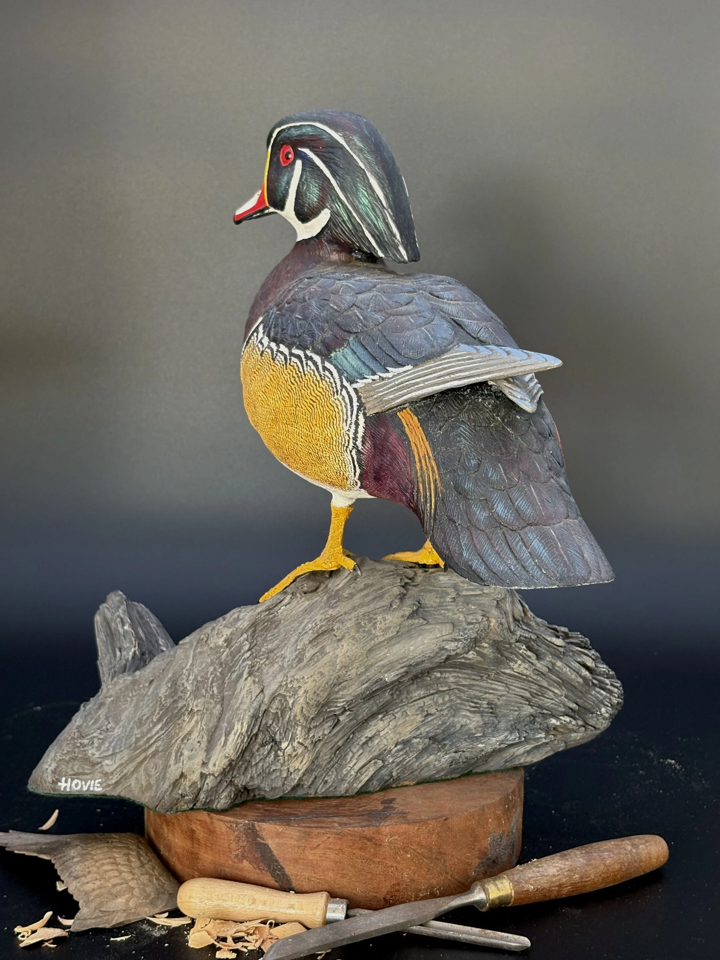 Don Hovie_Male Wood Duck on Log_022_4.jpeg