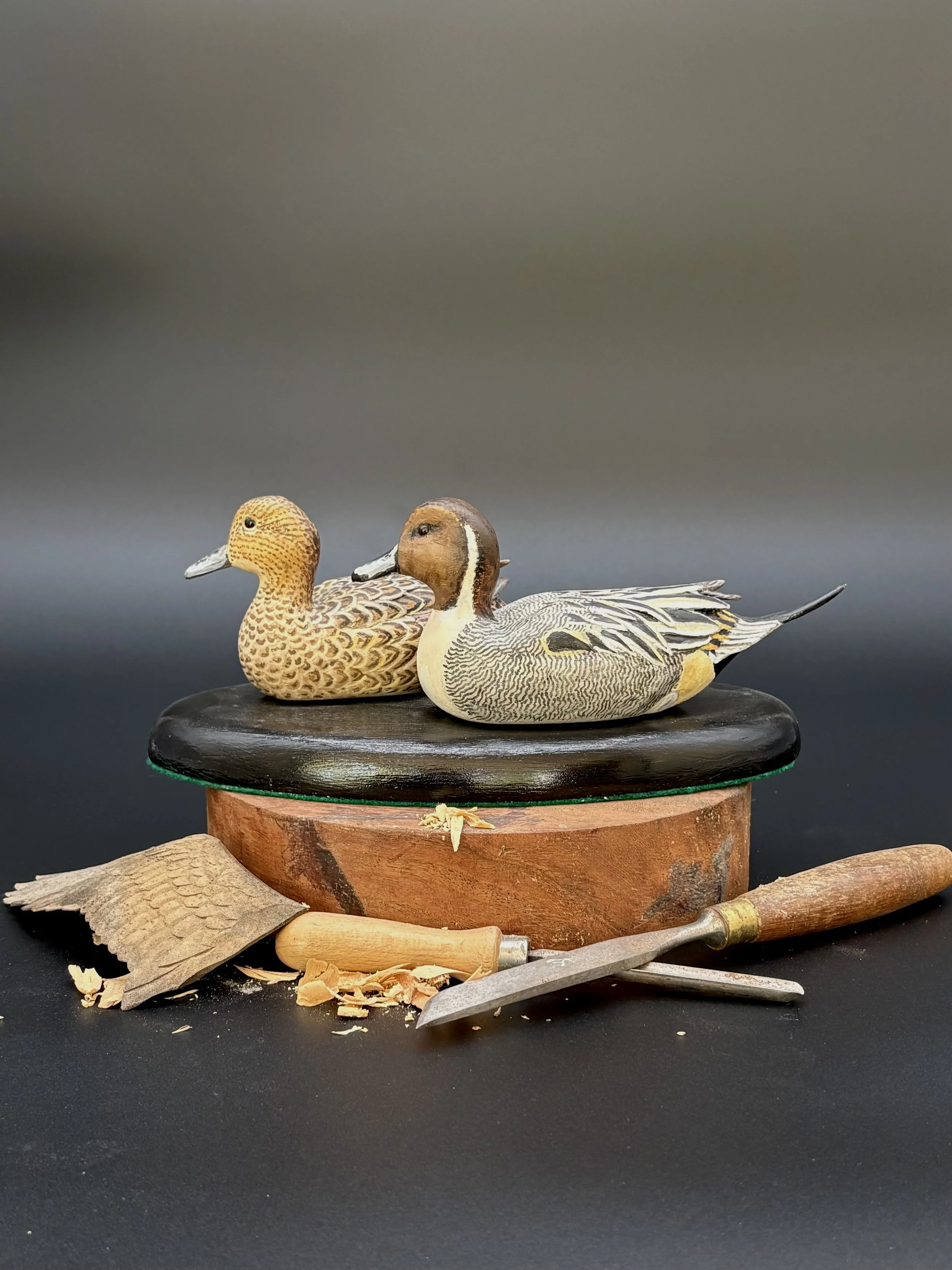 Northern Pintail Pair by Don Hovie