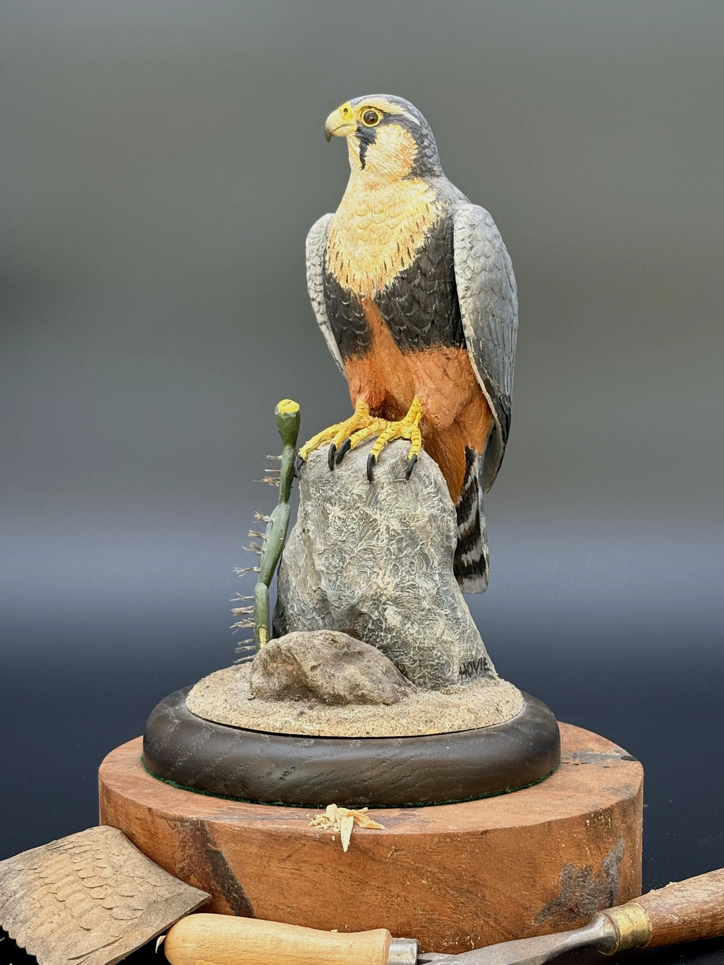 Aplomado Falcon wood carving by Don Hovie