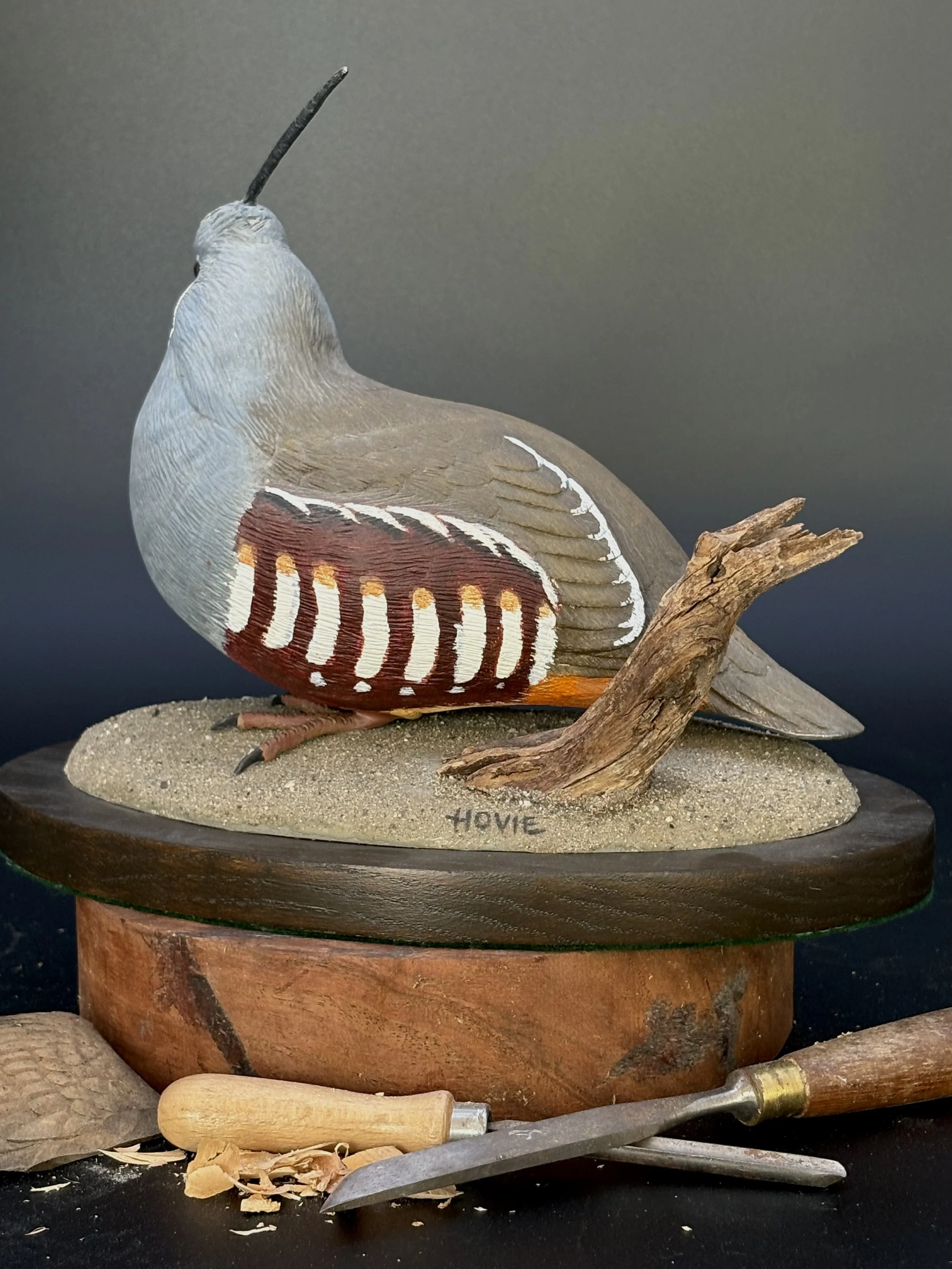 Don Hovie_MountainQuail_021_4.jpeg