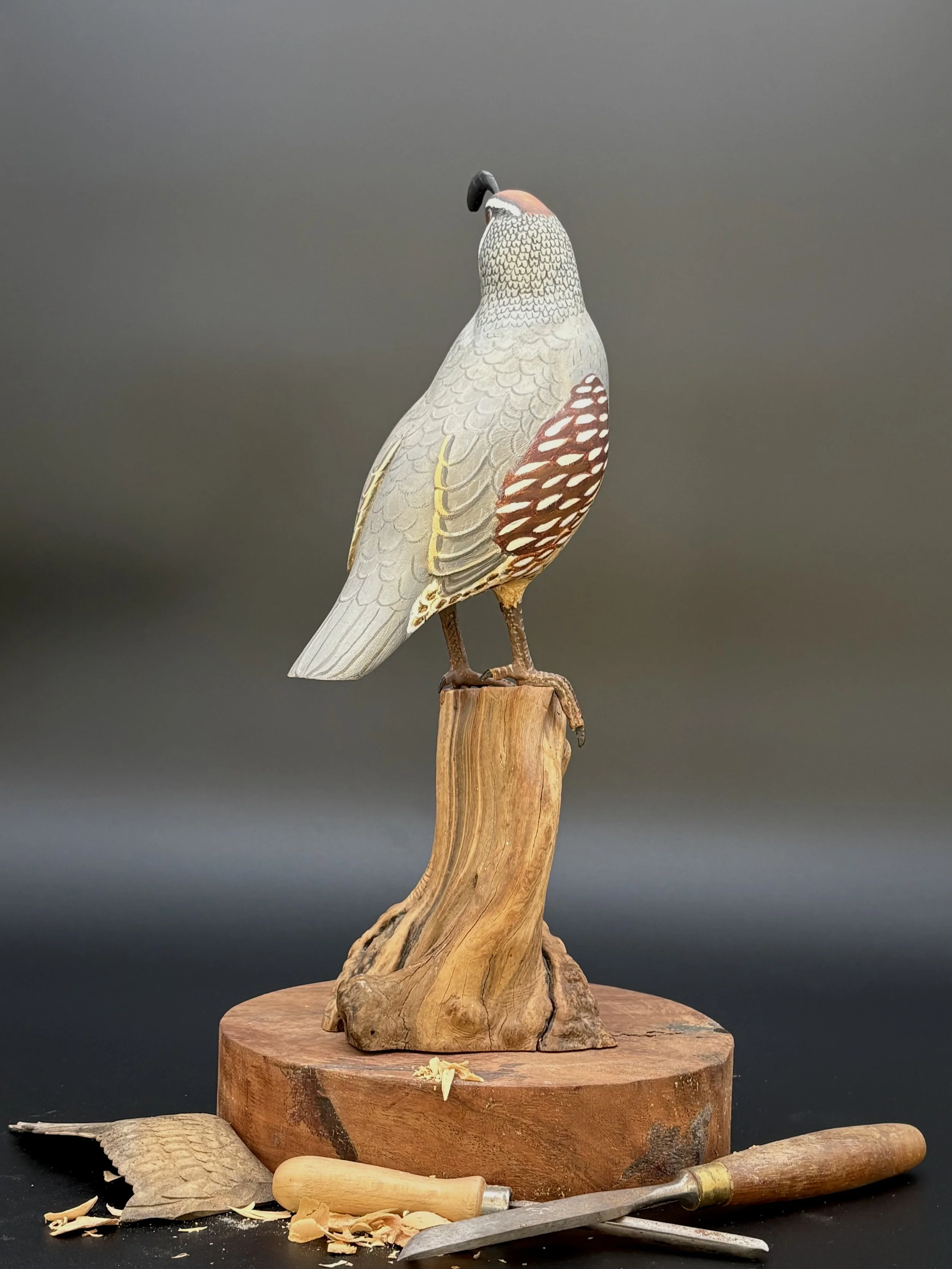 Don Hovie_GambleQuail_014_5.jpeg