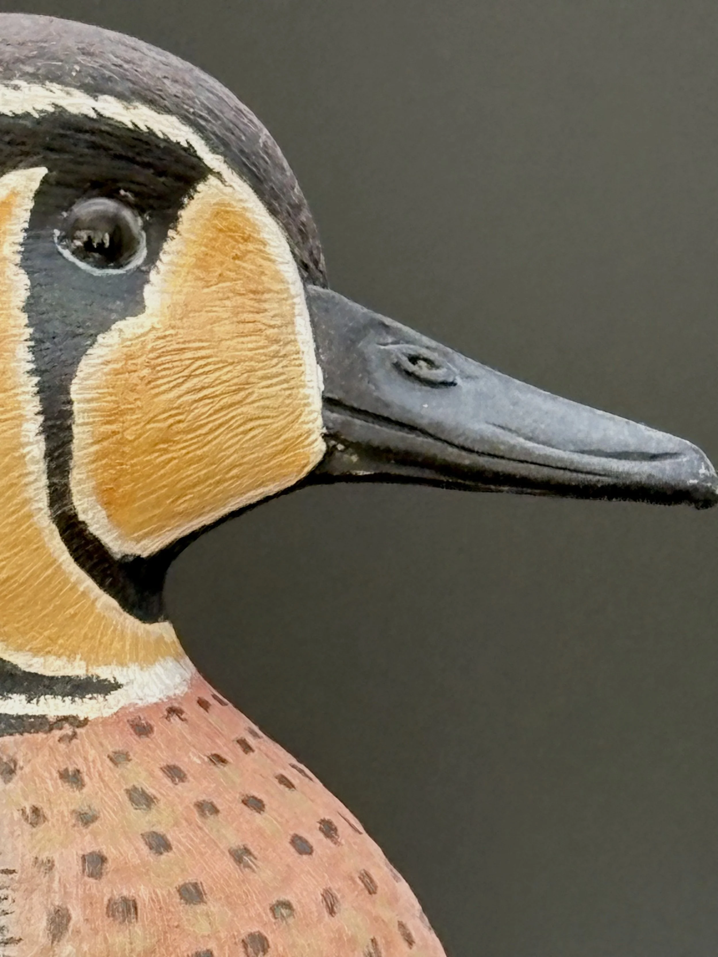 Don Hovie_Baikal Teal_019_10.jpeg