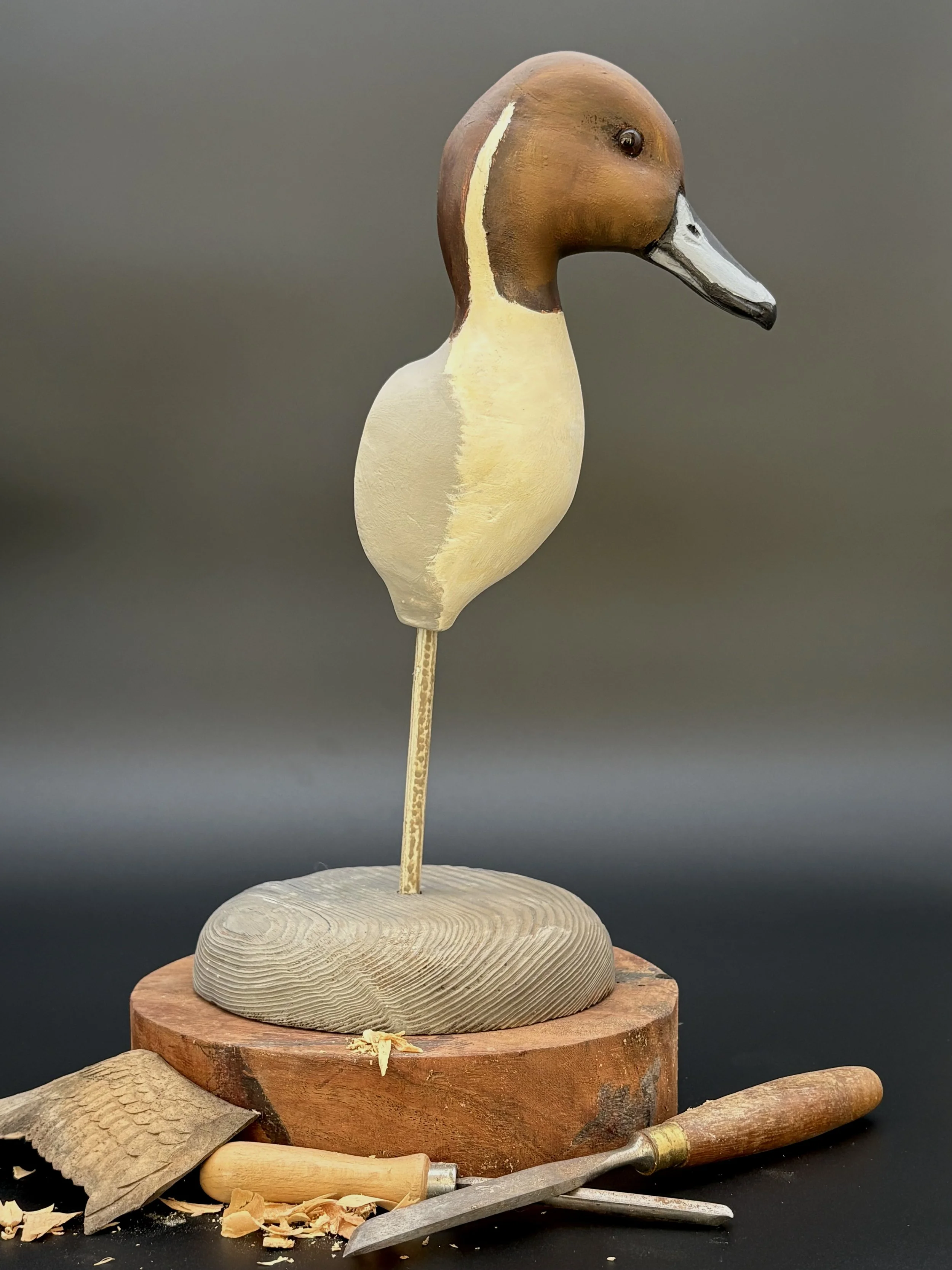 Pintail Drake Stick-Up Decoy