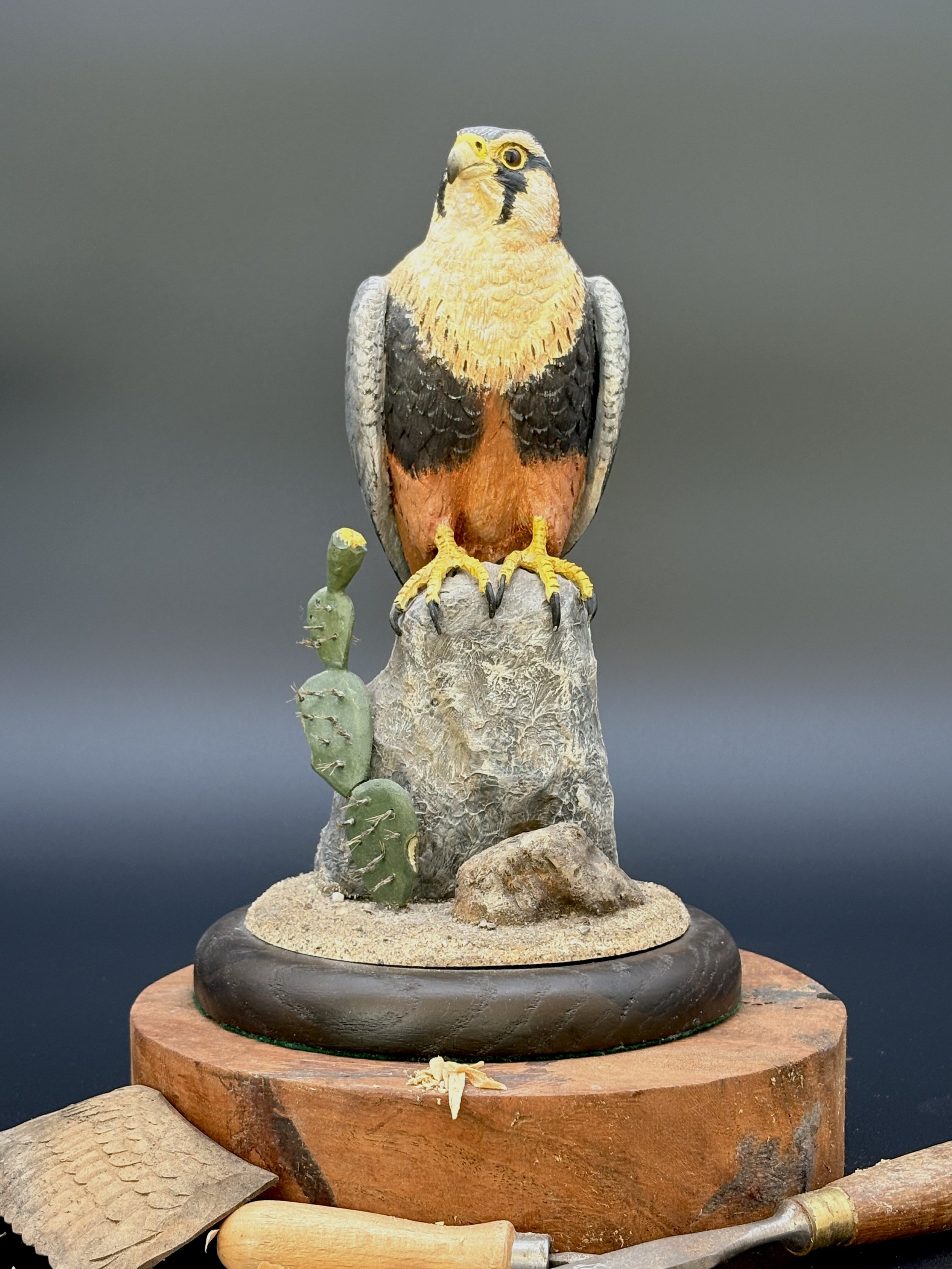 Aplomado Falcon wood carving by Don Hovie