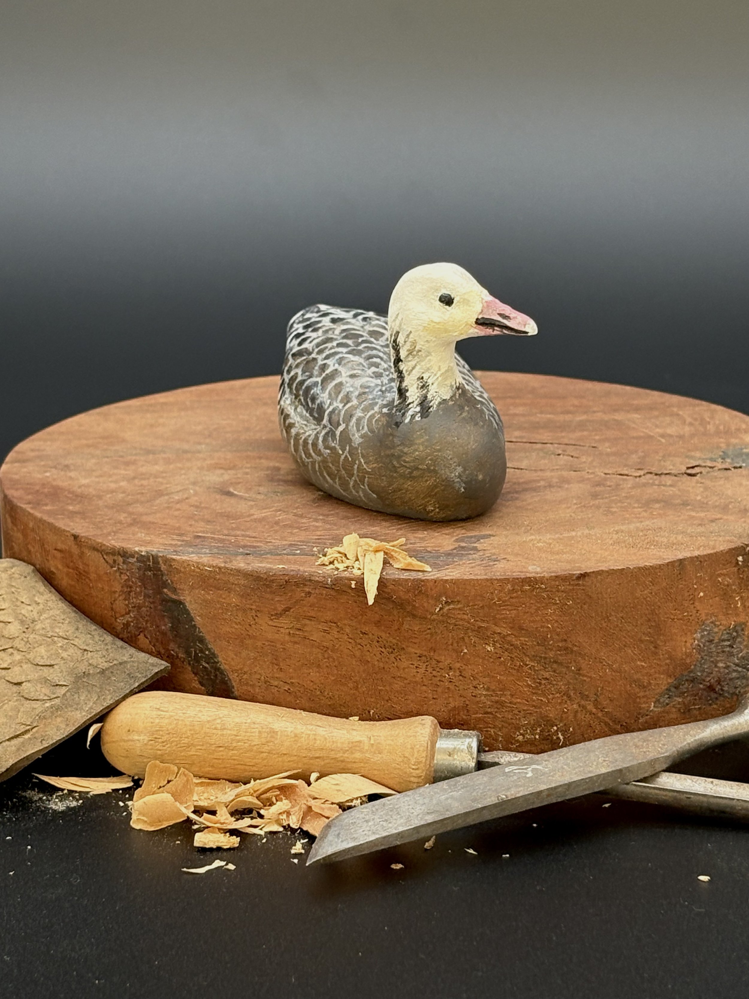Don Hovie_BlueGoose_009_5.jpeg