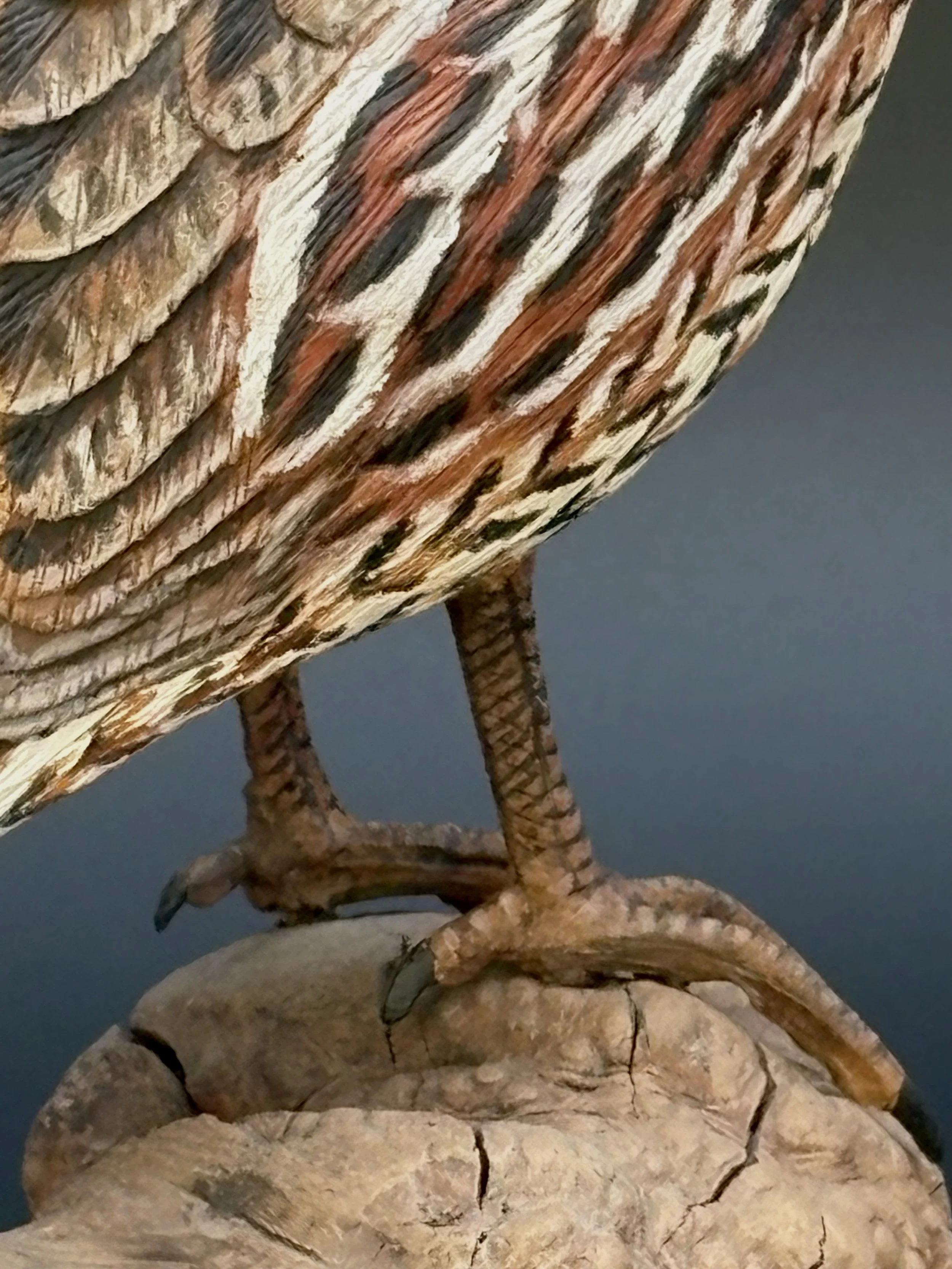 Don Hovie_Bobwhite Quail_017_7.jpeg