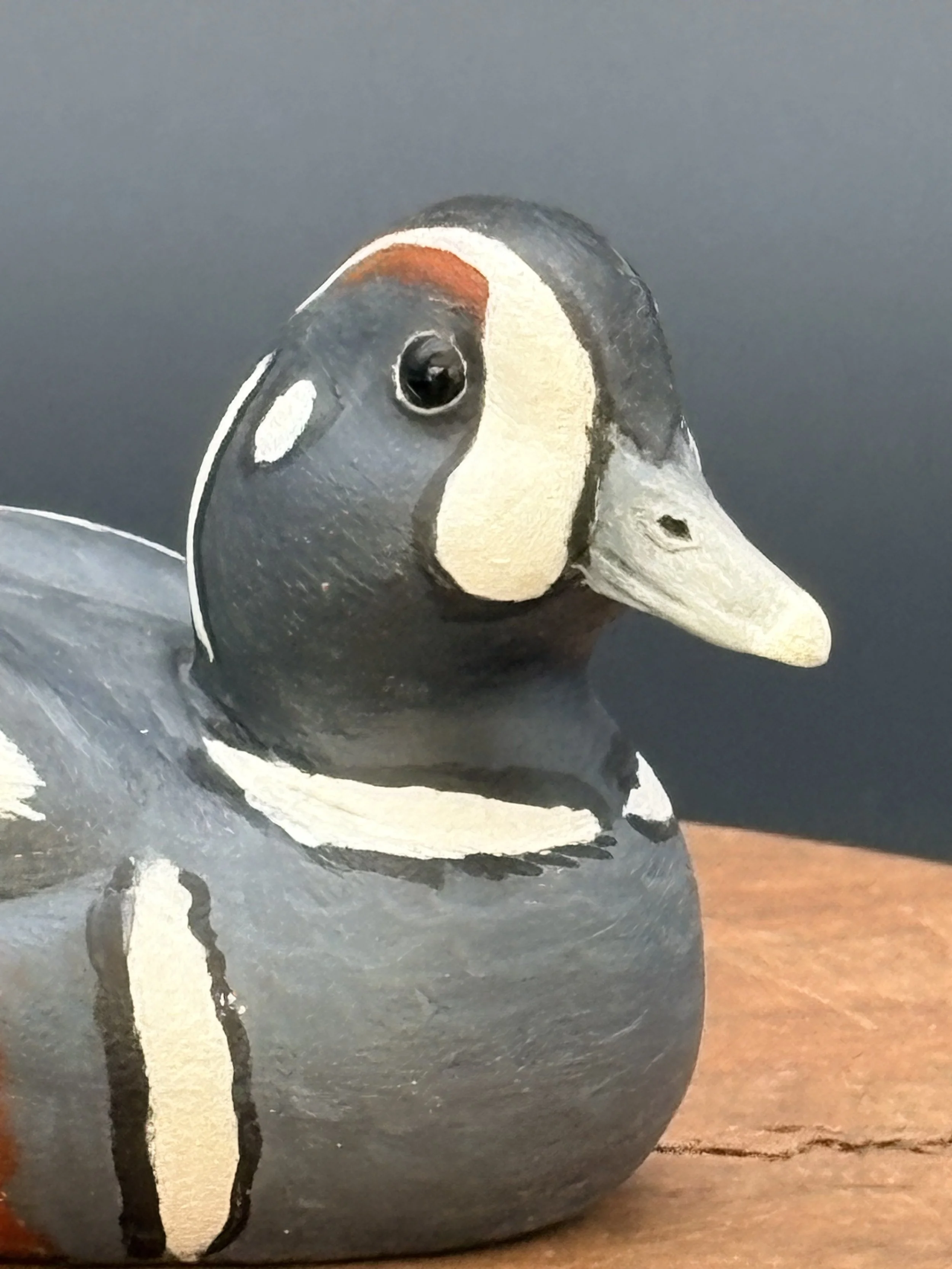 Don Hove_Harlequin_0087.jpeg