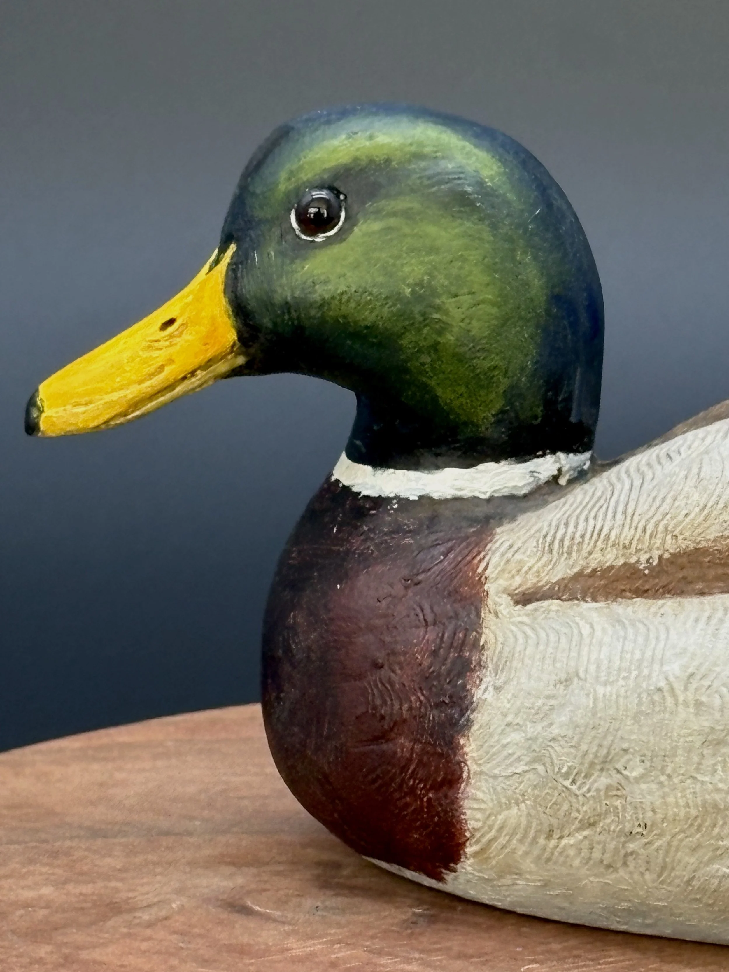Mallard