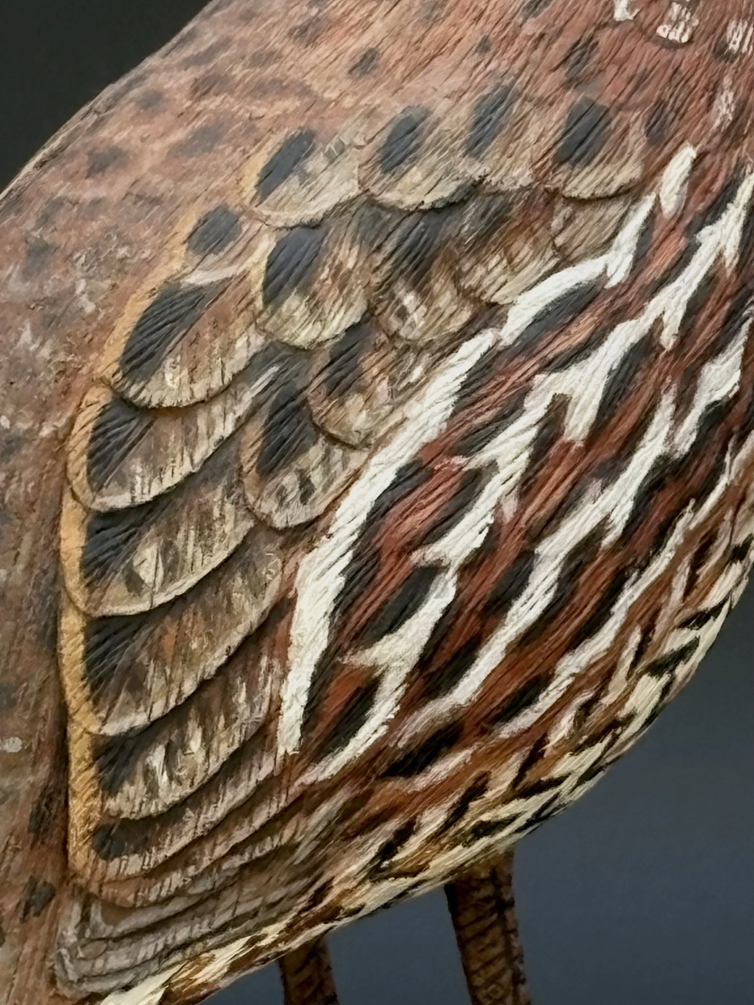 Don Hovie_Bobwhite Quail_017_6.jpeg