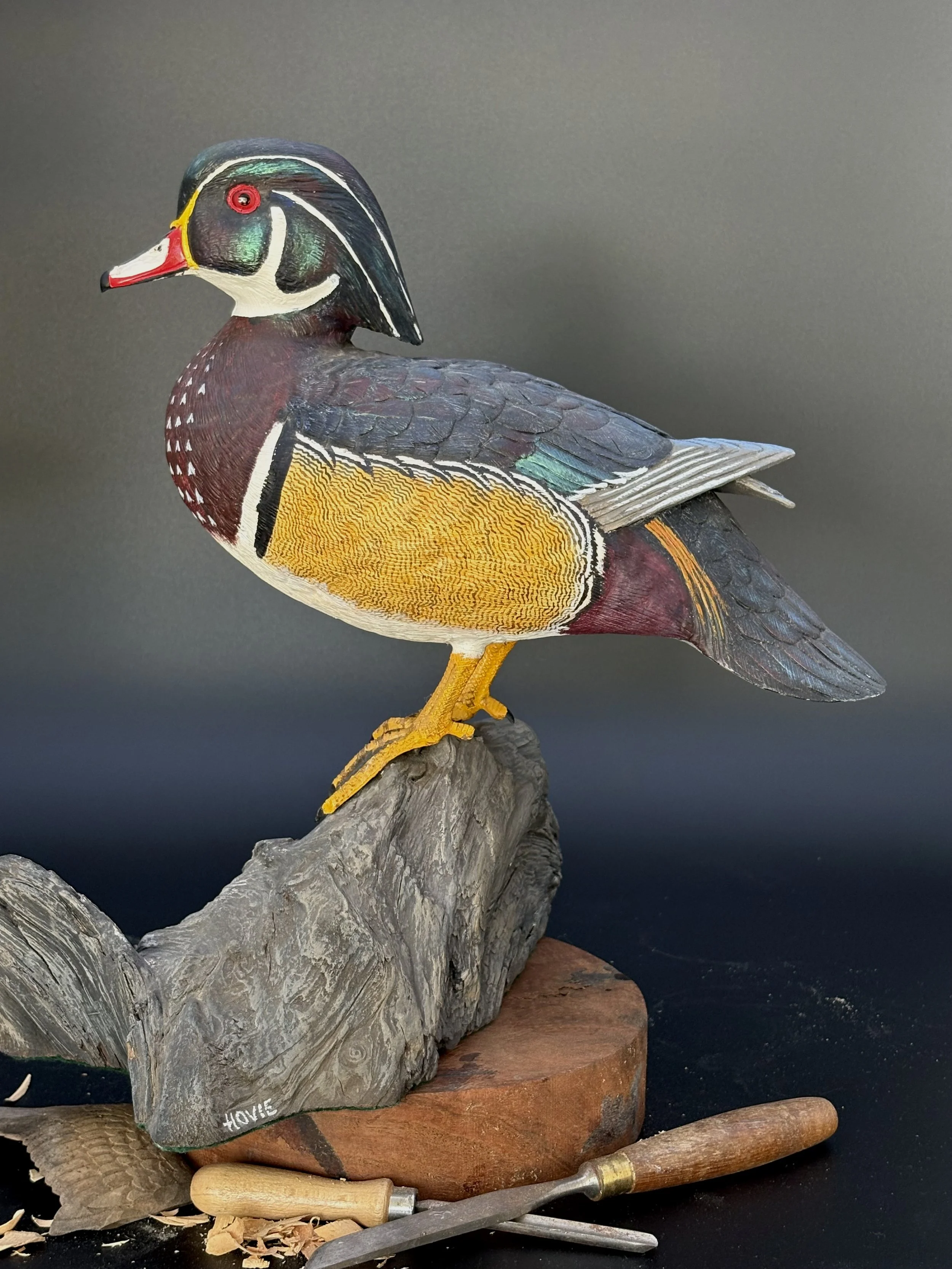 Don Hovie_Male Wood Duck on Log_022_5.jpeg