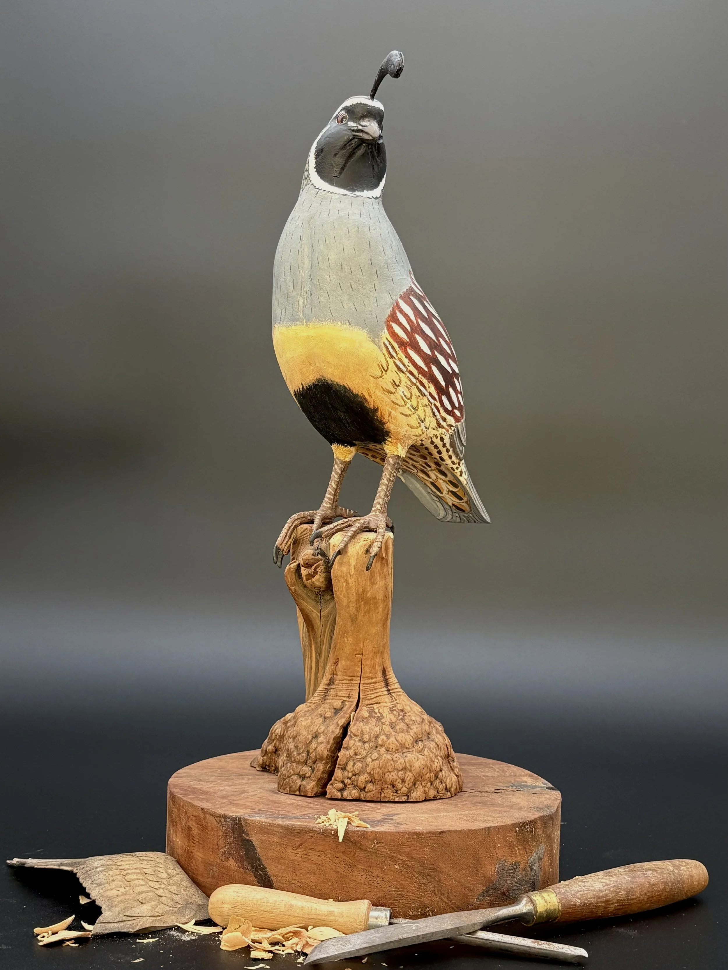 Don Hovie_GambleQuail_014_8.jpeg