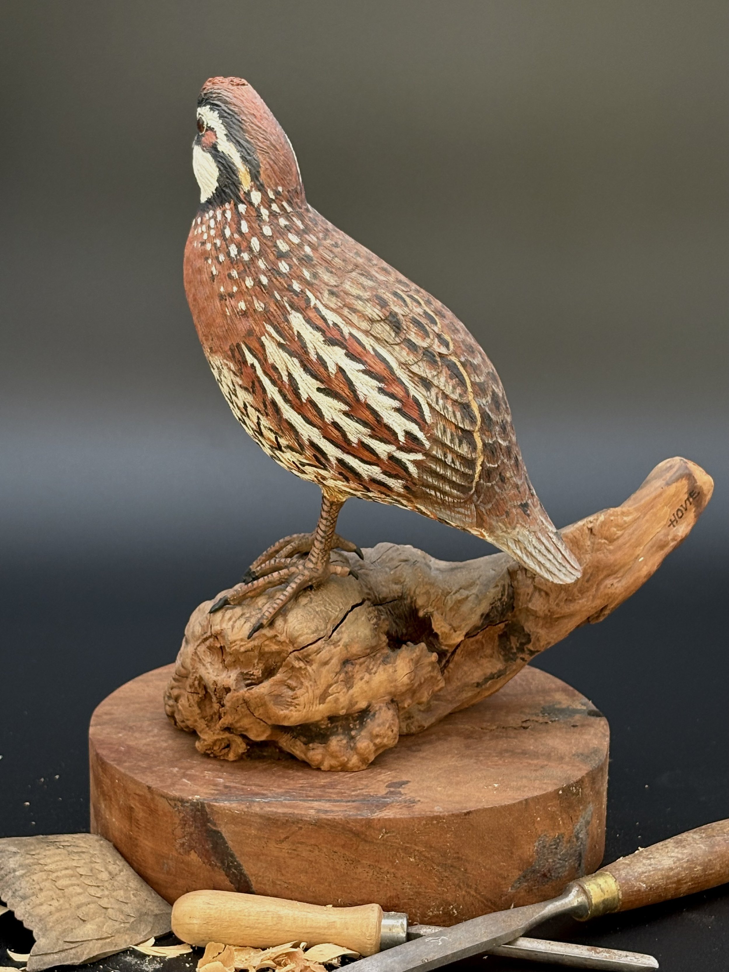 Don Hovie_Bobwhite Quail_017_3.jpeg