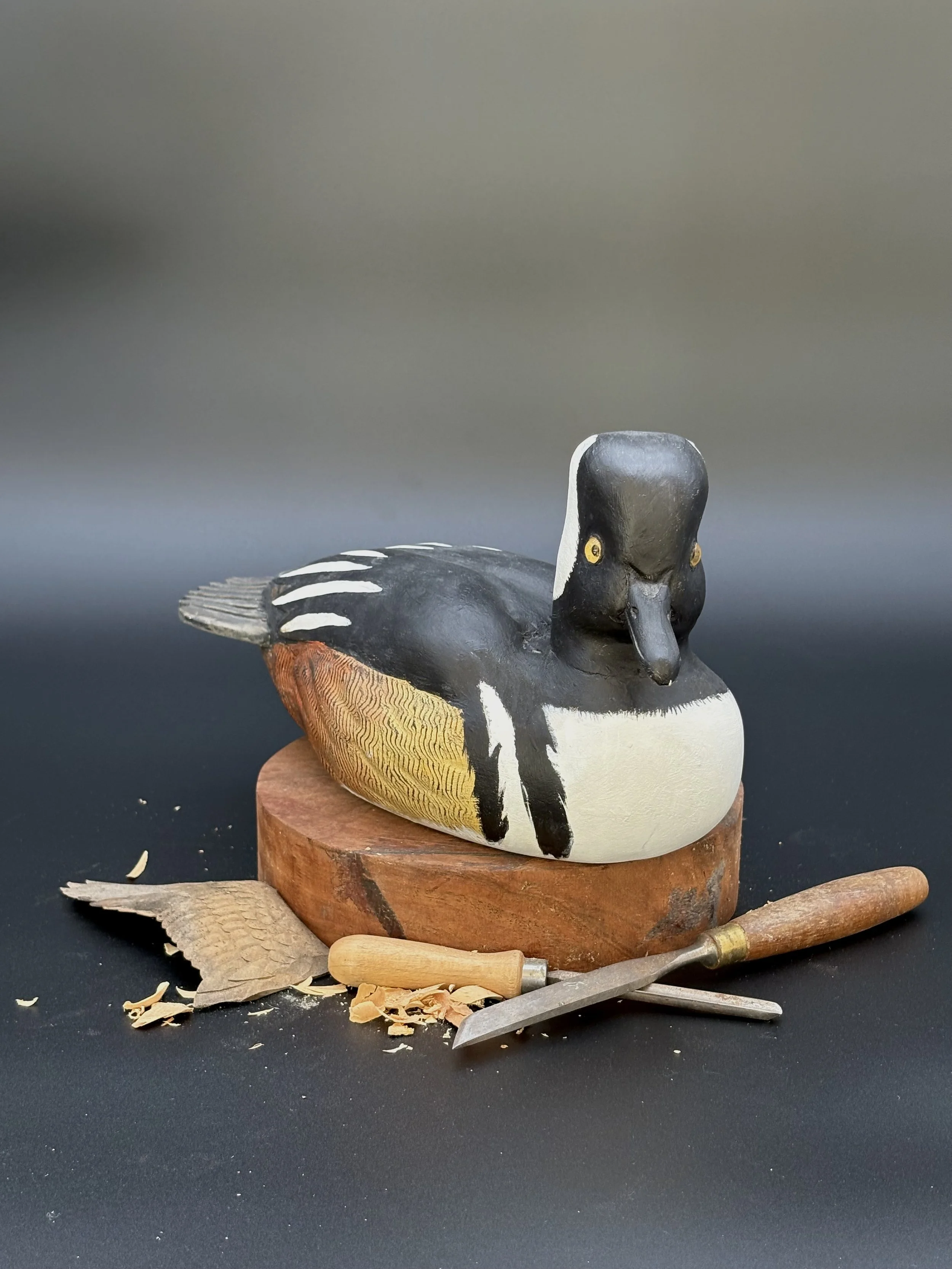 Don Hovie_Hooded Merganser_017_2.jpeg