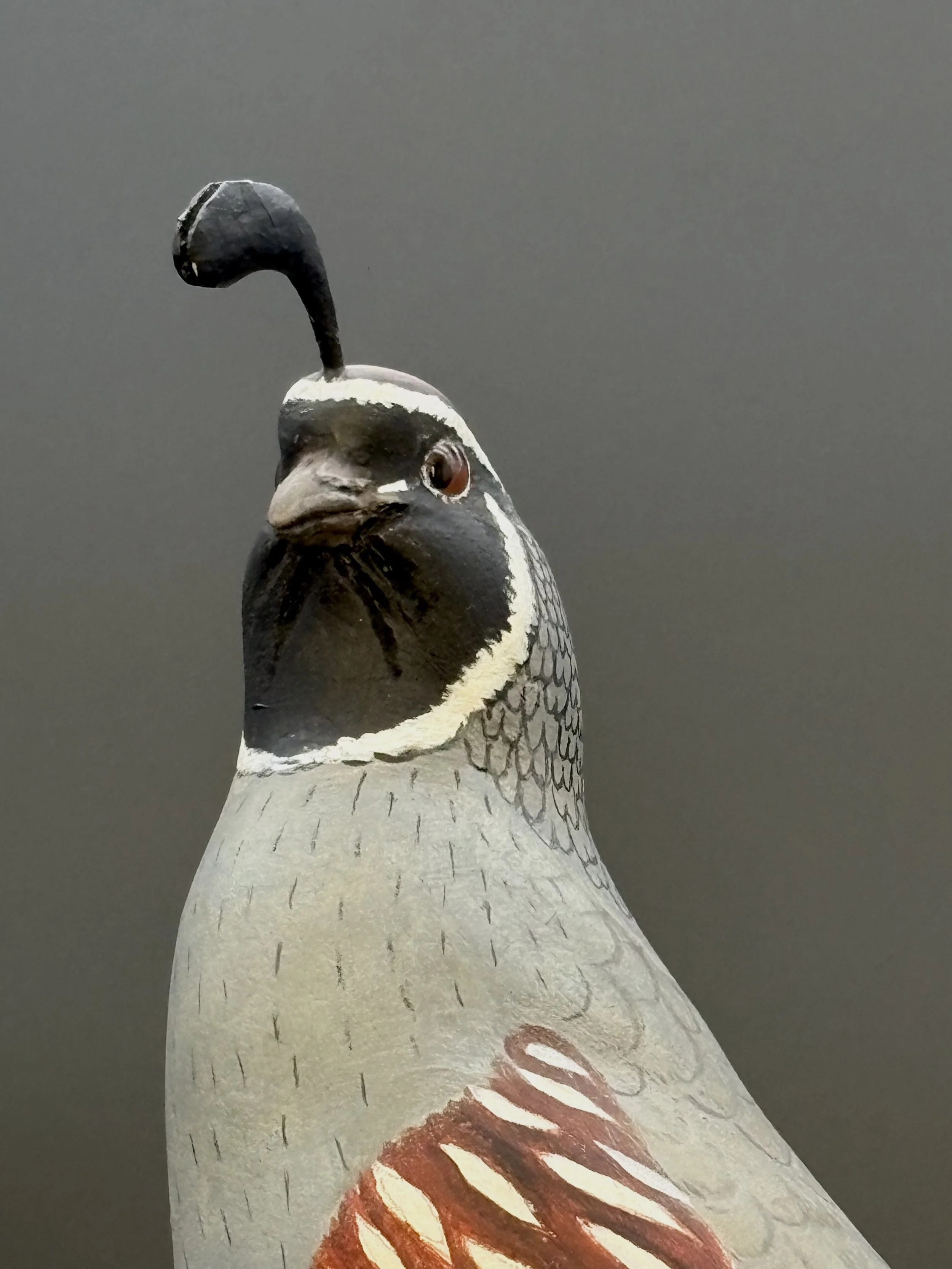 Don Hovie_GambleQuail_014_9.jpeg