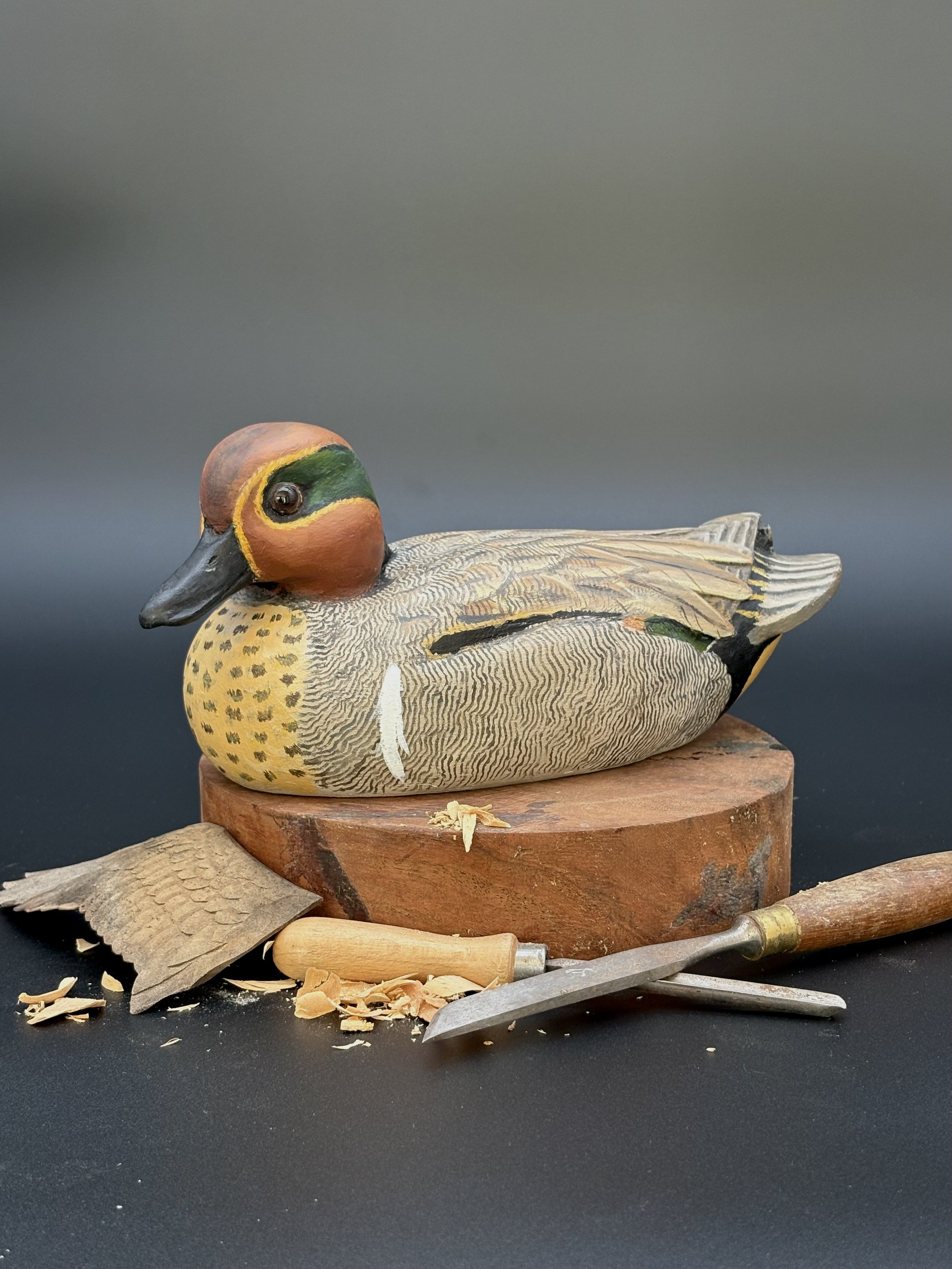 Don Hovie_GreenWingedTeal_007_1.jpeg