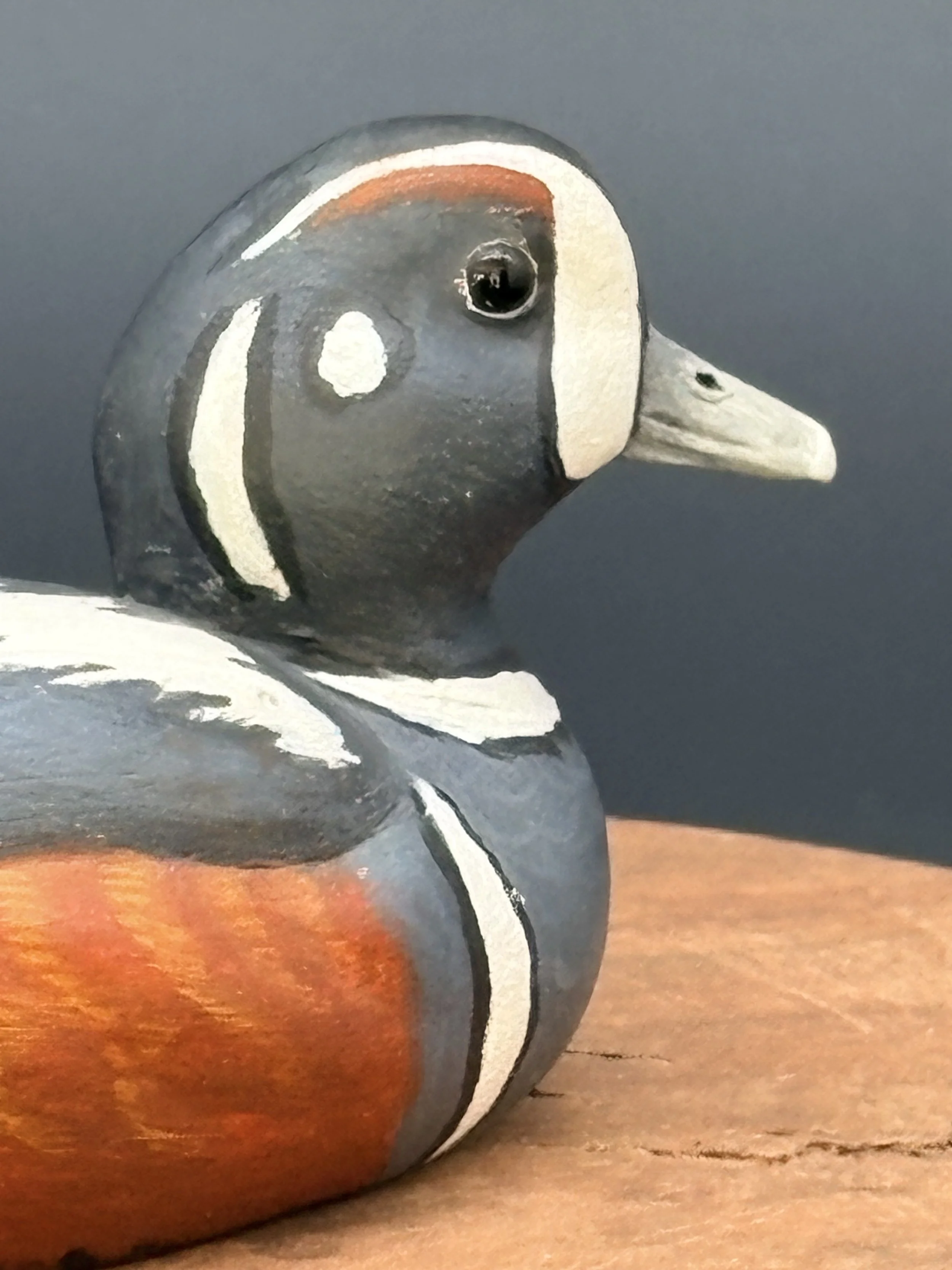 Don Hove_Harlequin_0086.jpeg