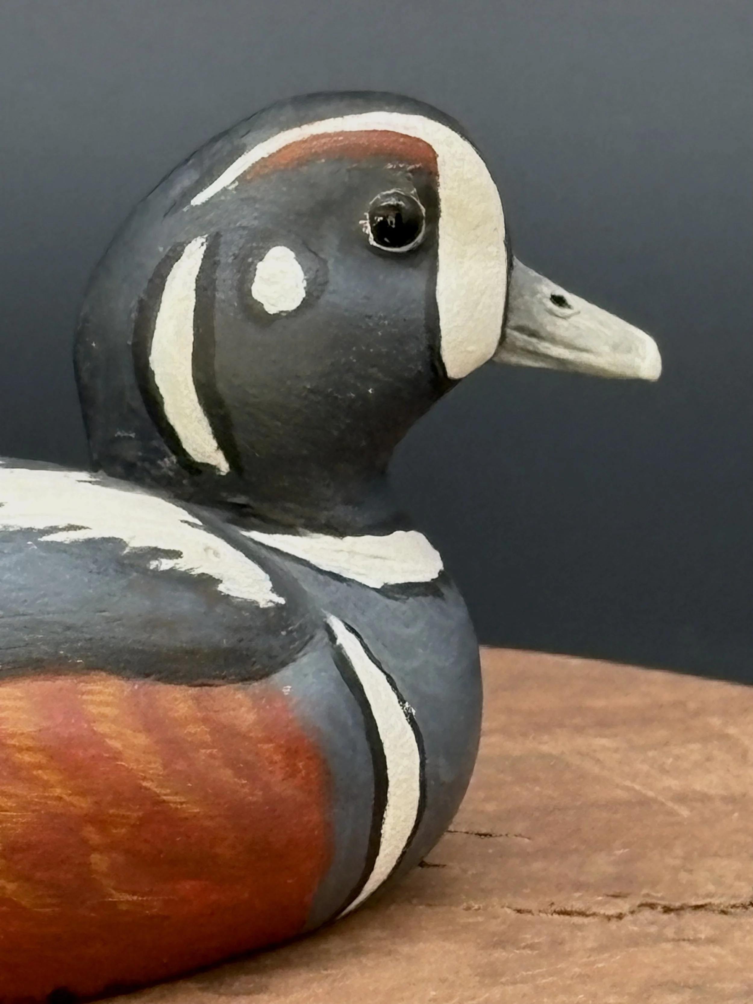 Don Hovie_Harlequin Duck_008_6.jpeg