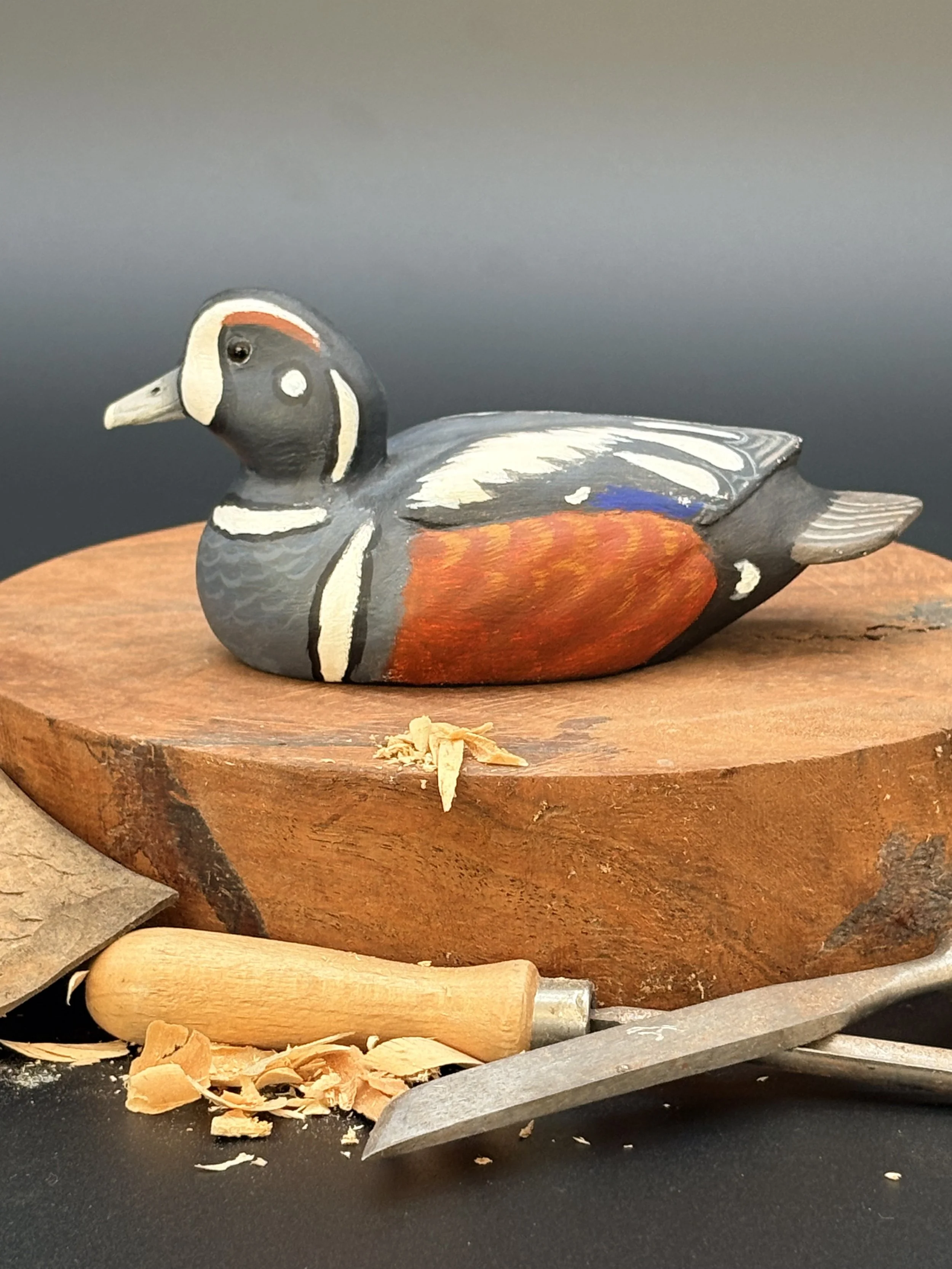 Don Hove_Harlequin_0082.jpeg