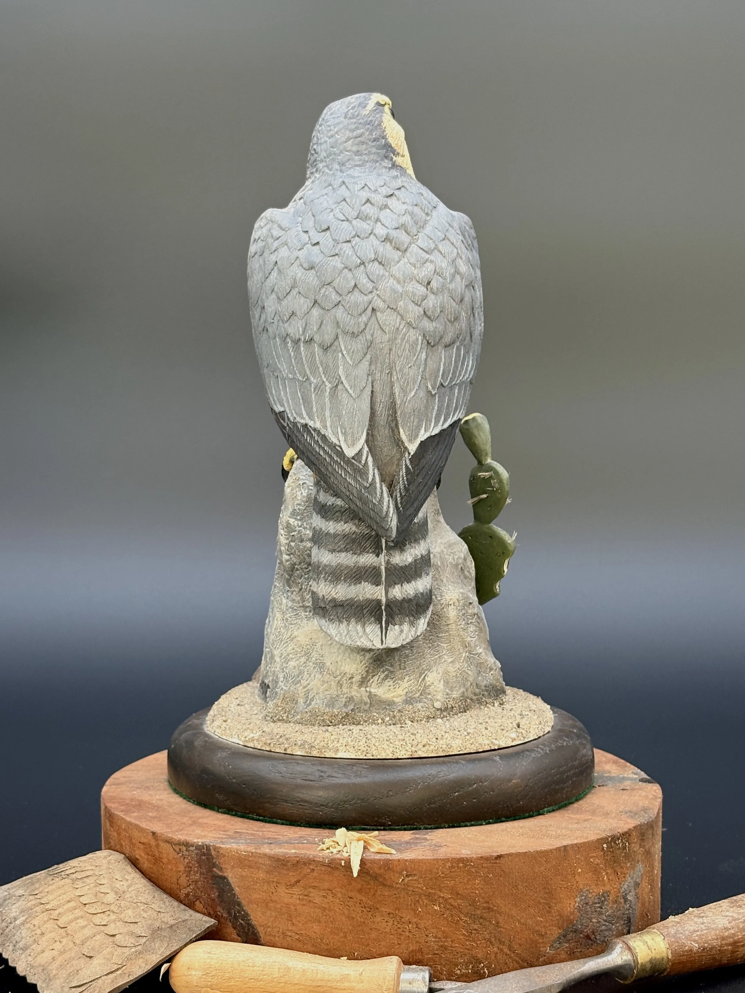 Aplomado Falcon wood carving by Don Hovie