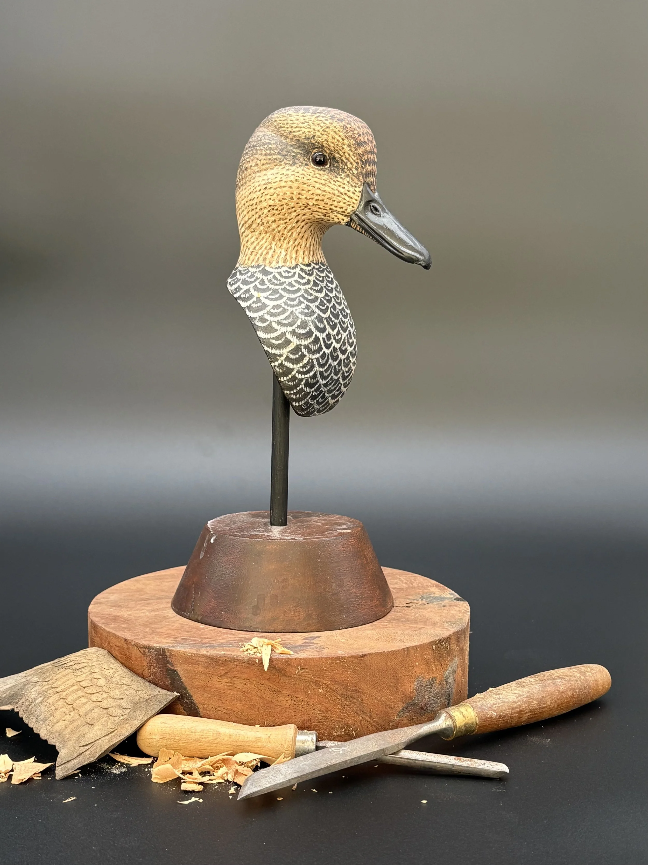 Gadwall Pickleweed Decoy