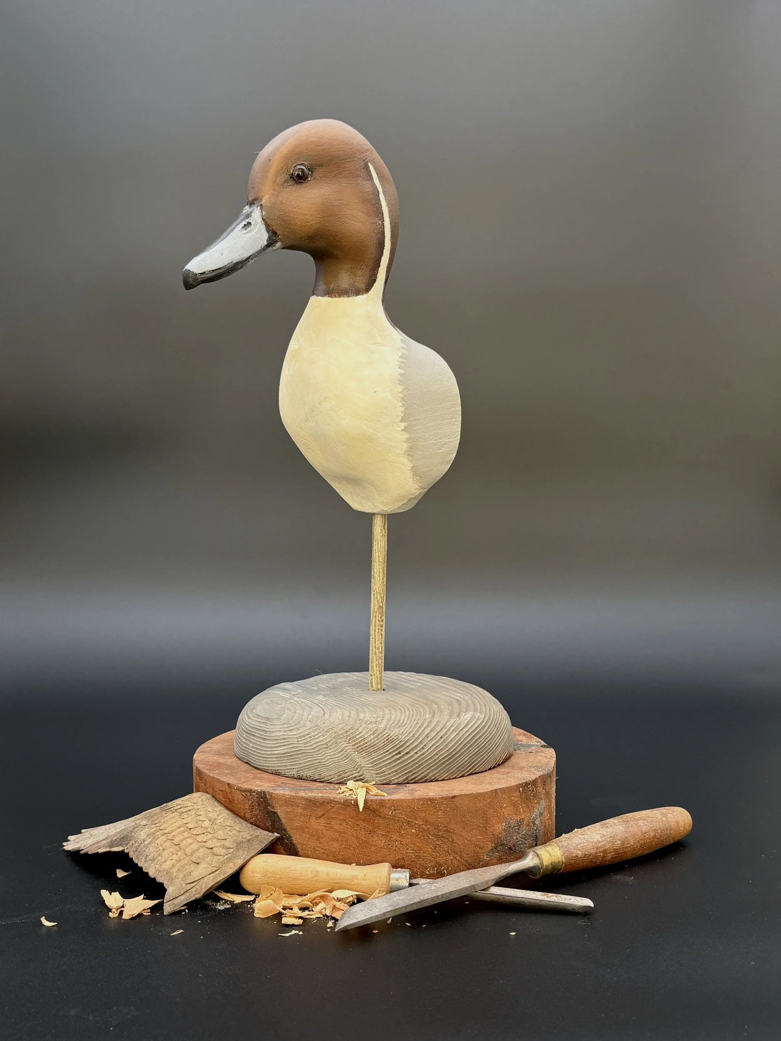Pintail Pickelweed Decoy