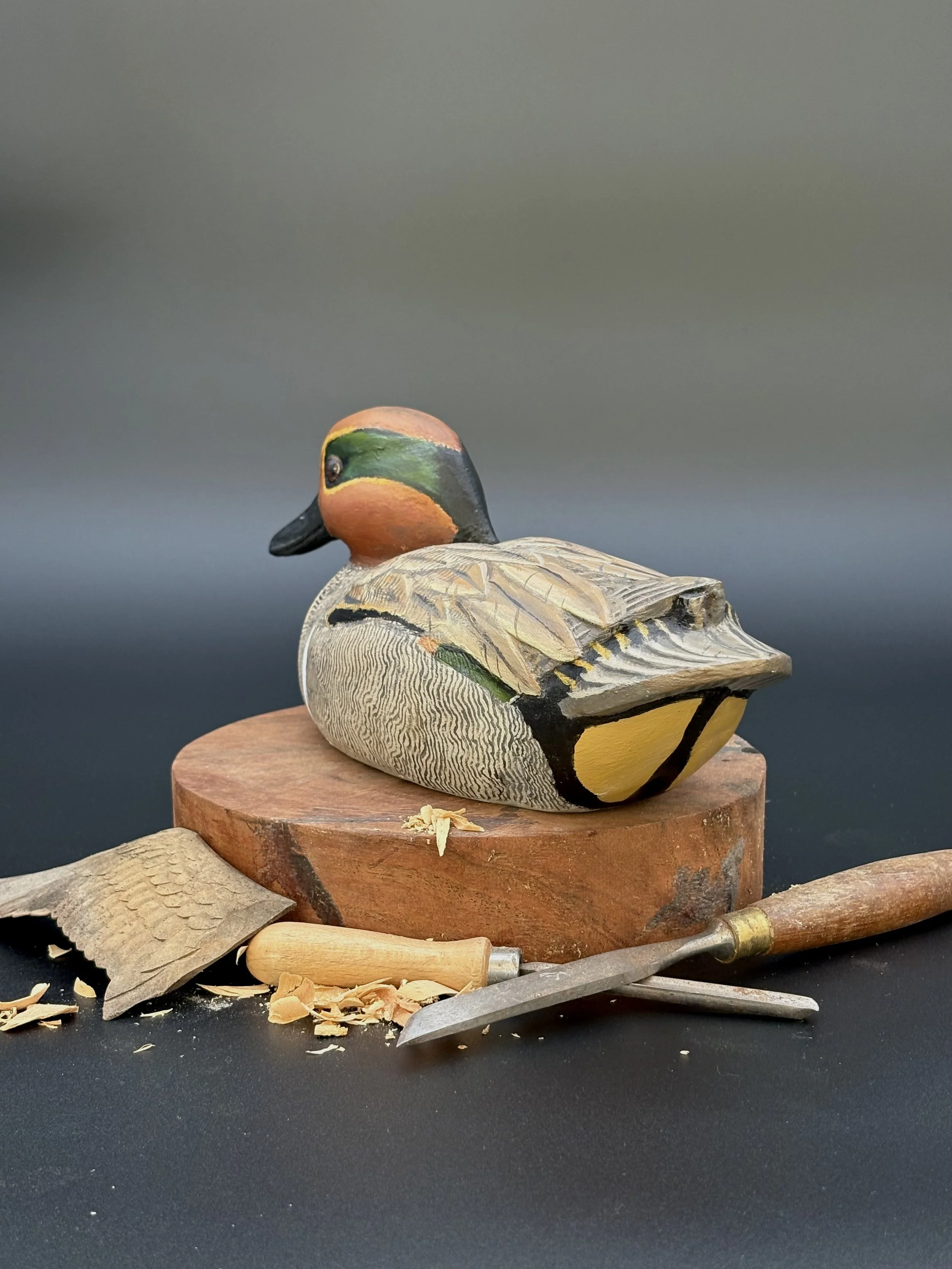 Don Hovie_GreenWingedTeal_007_3.jpeg