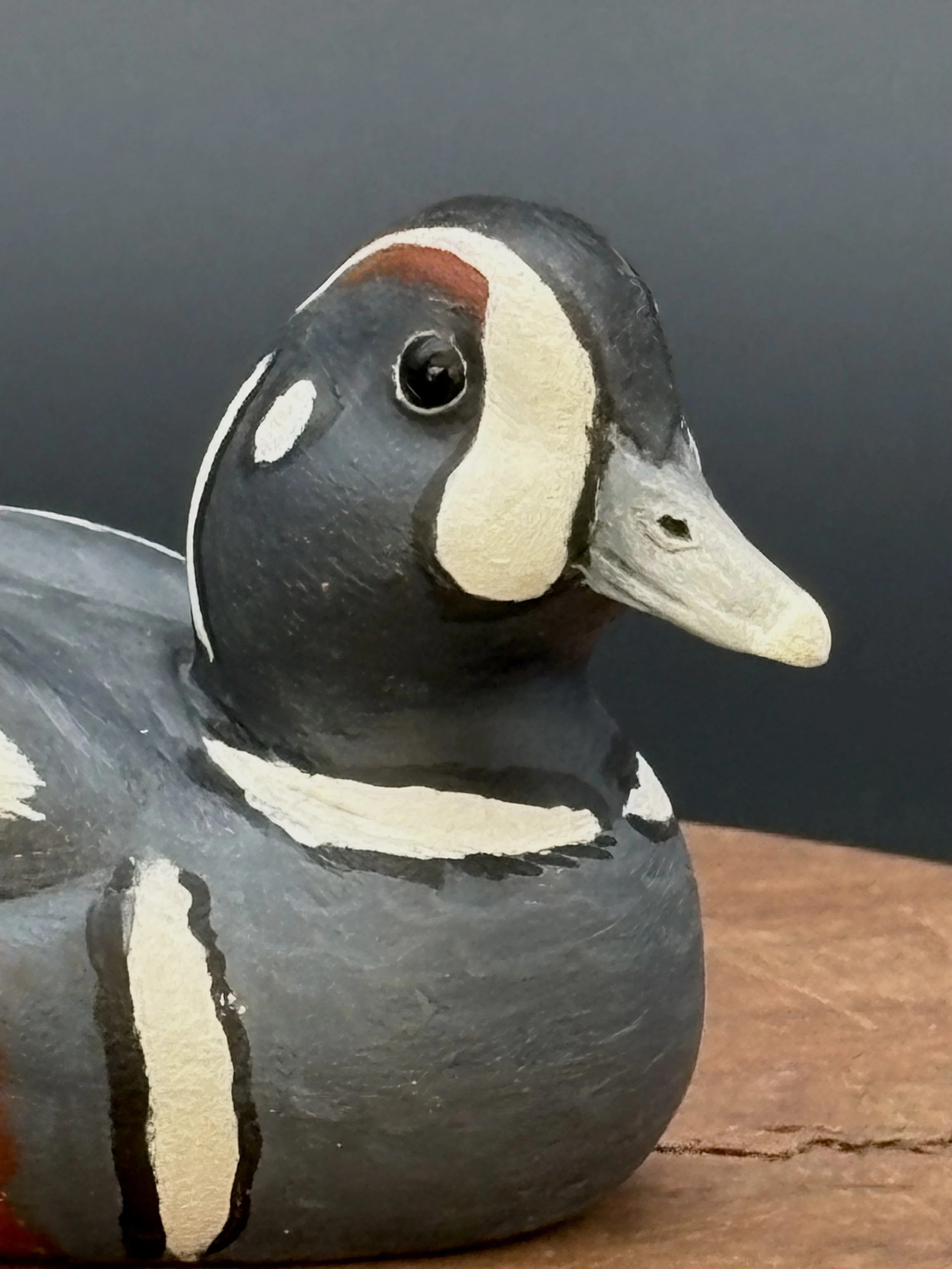 Don Hovie_Harlequin Duck_008_7.jpeg